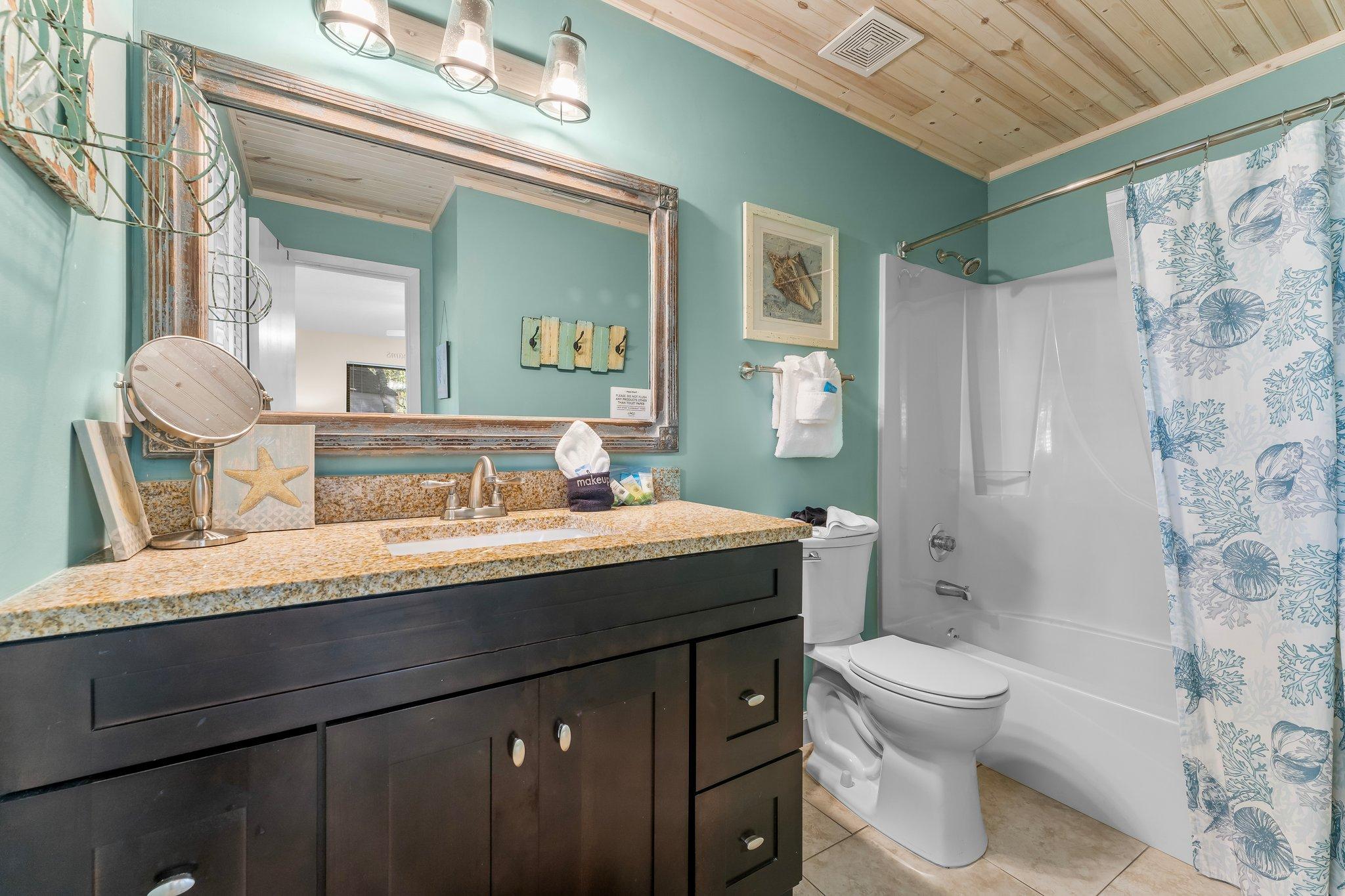 tub shower with mirror and hair dryer