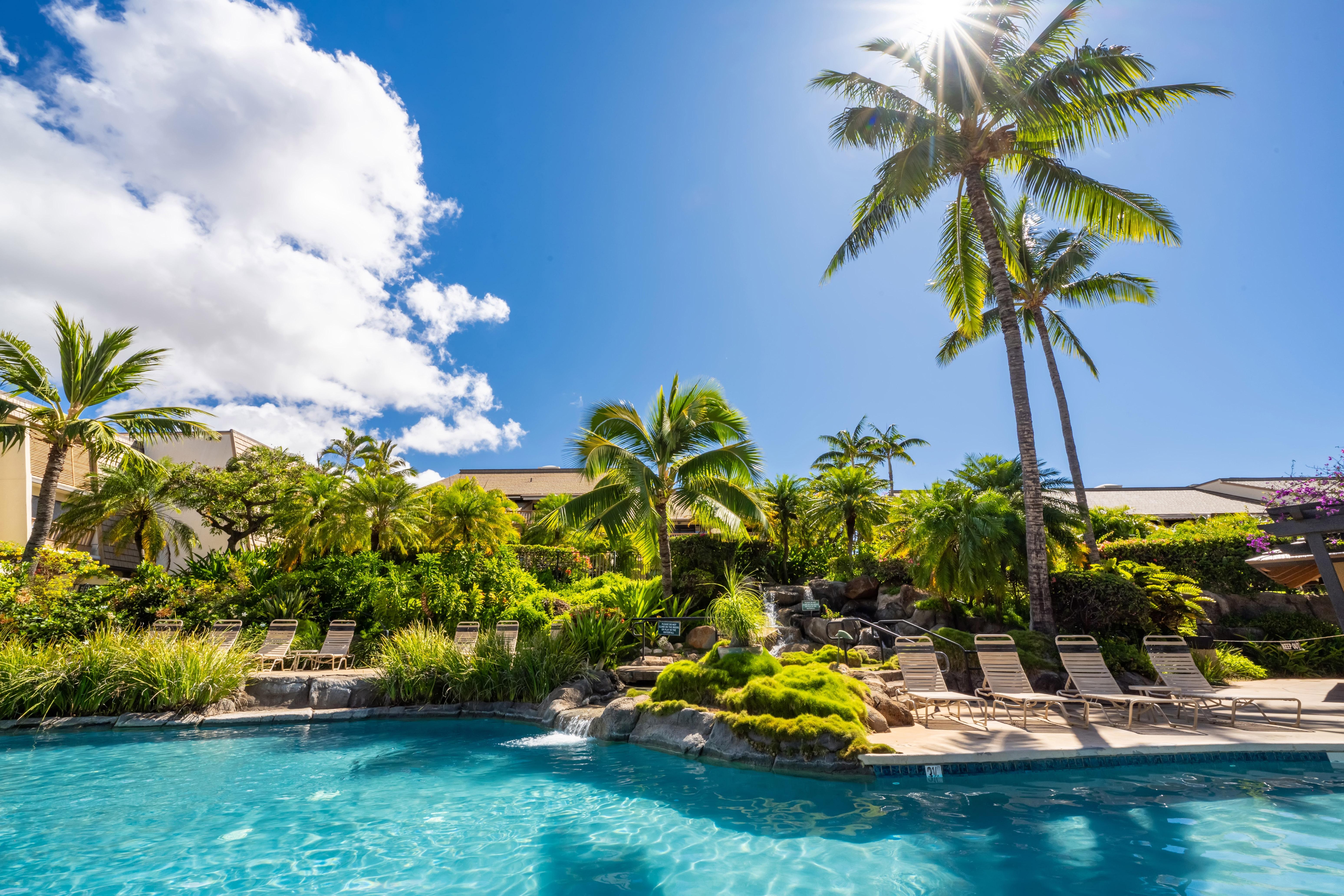 Maui Kamaole I217 photo 1