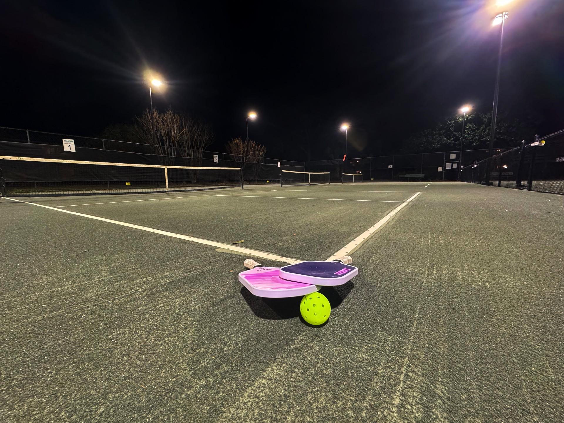 Pickleball Stock 2