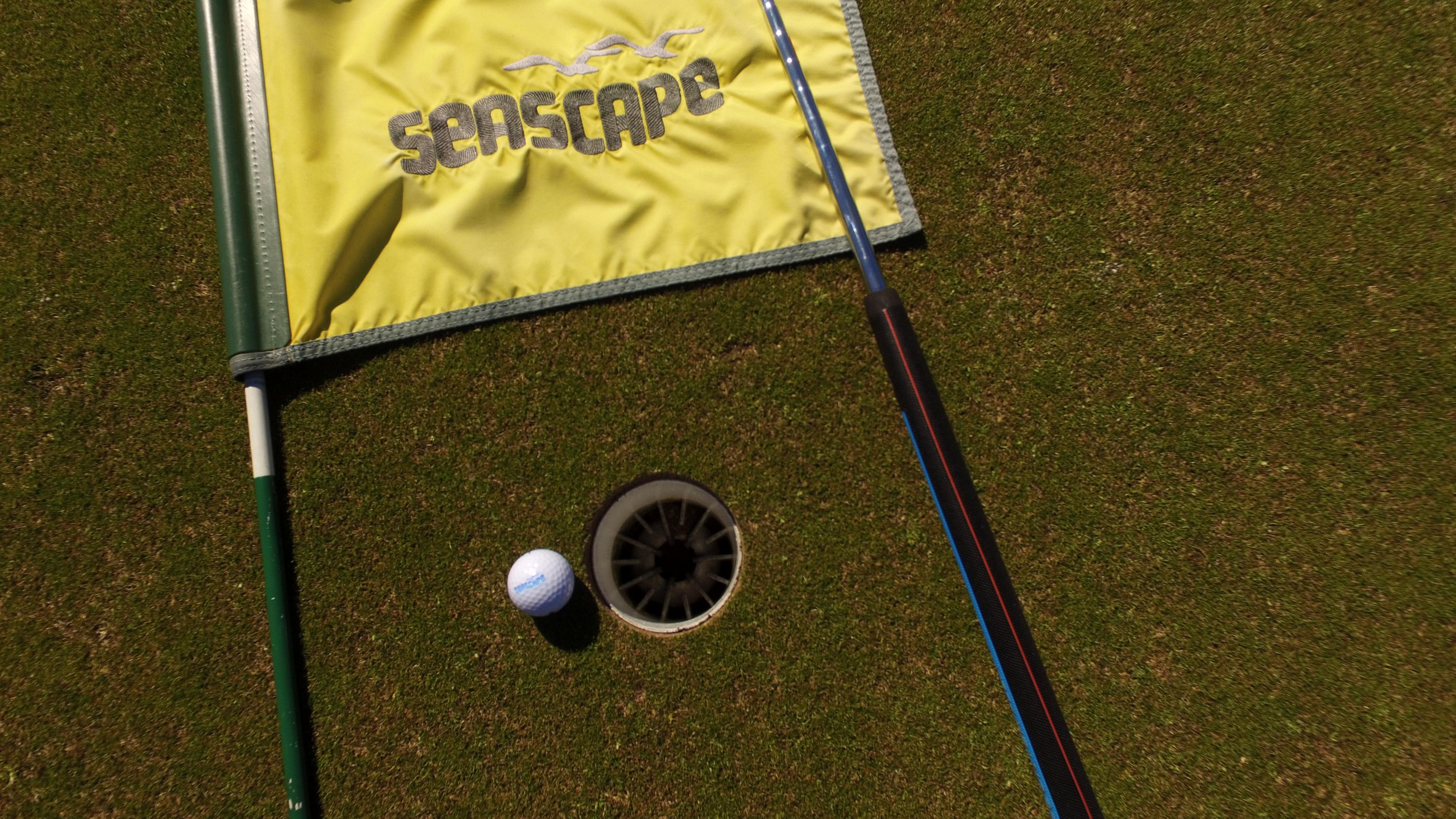 Golf Stock 1