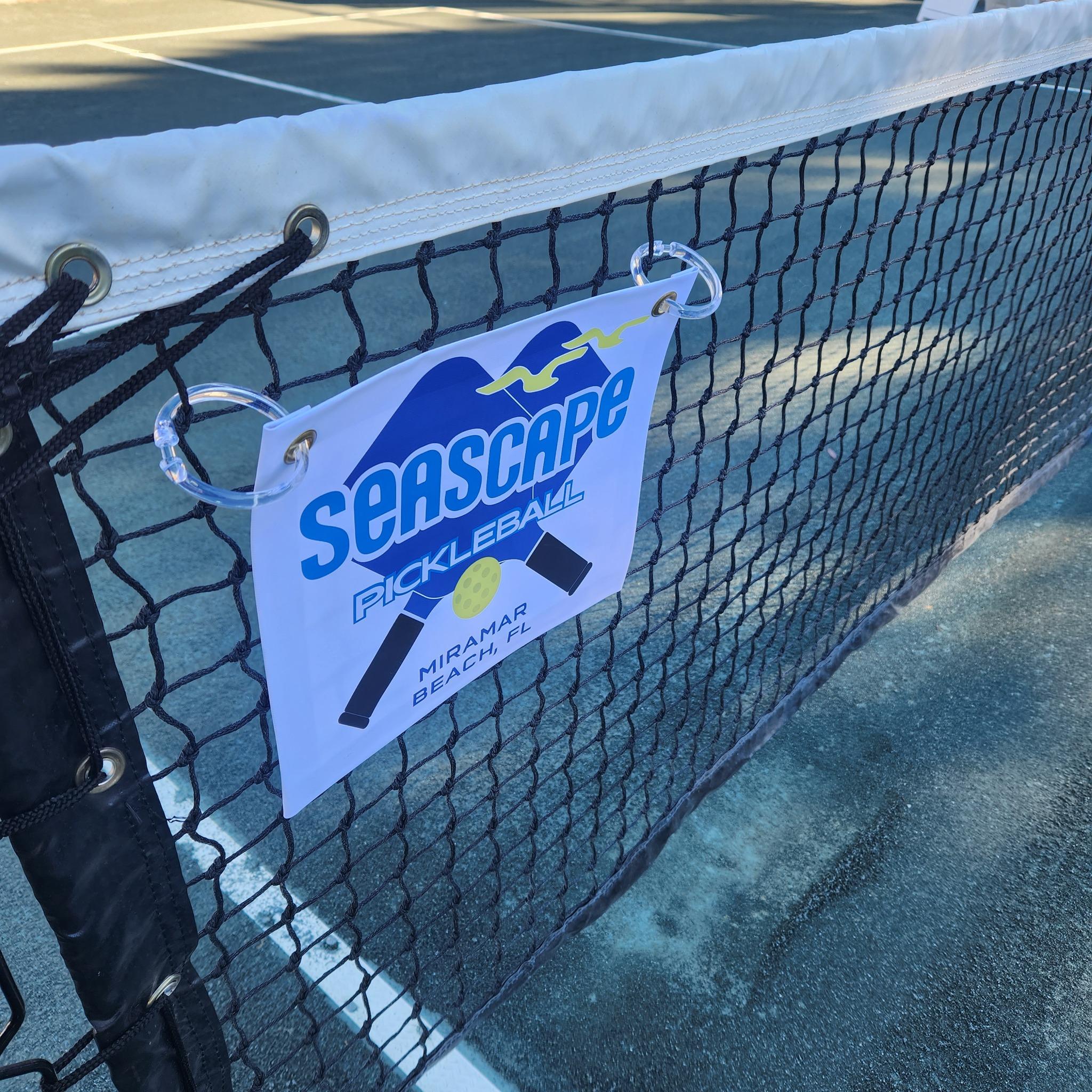 Pickleball Stock 2