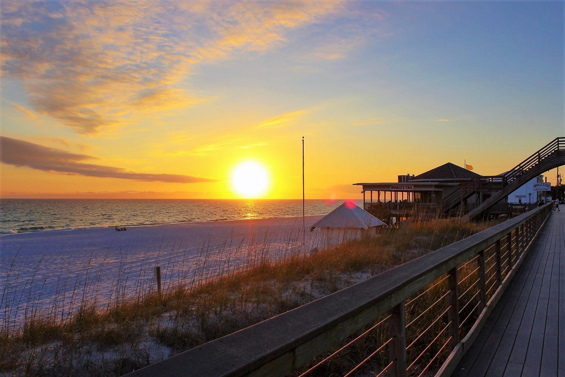 Photo #132