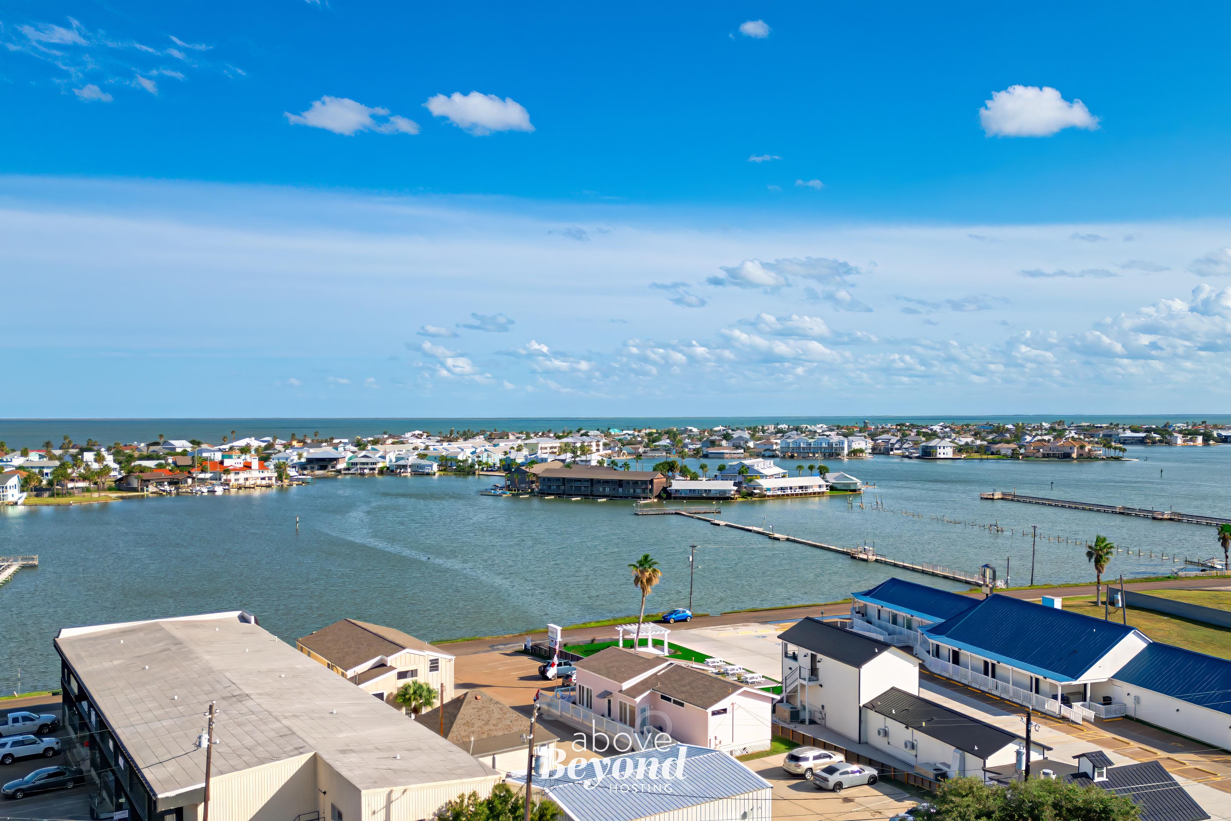 The Cobalt Crab Oasis