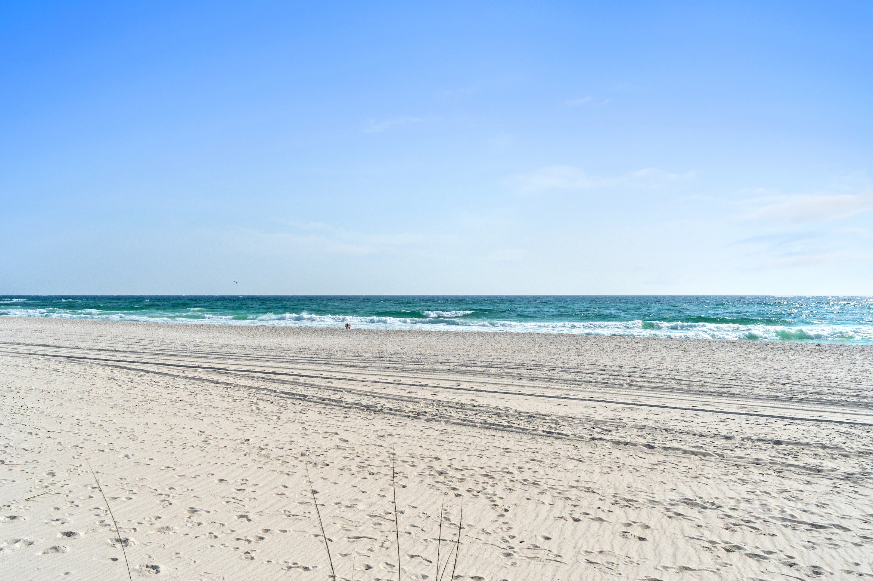 Photo #36
