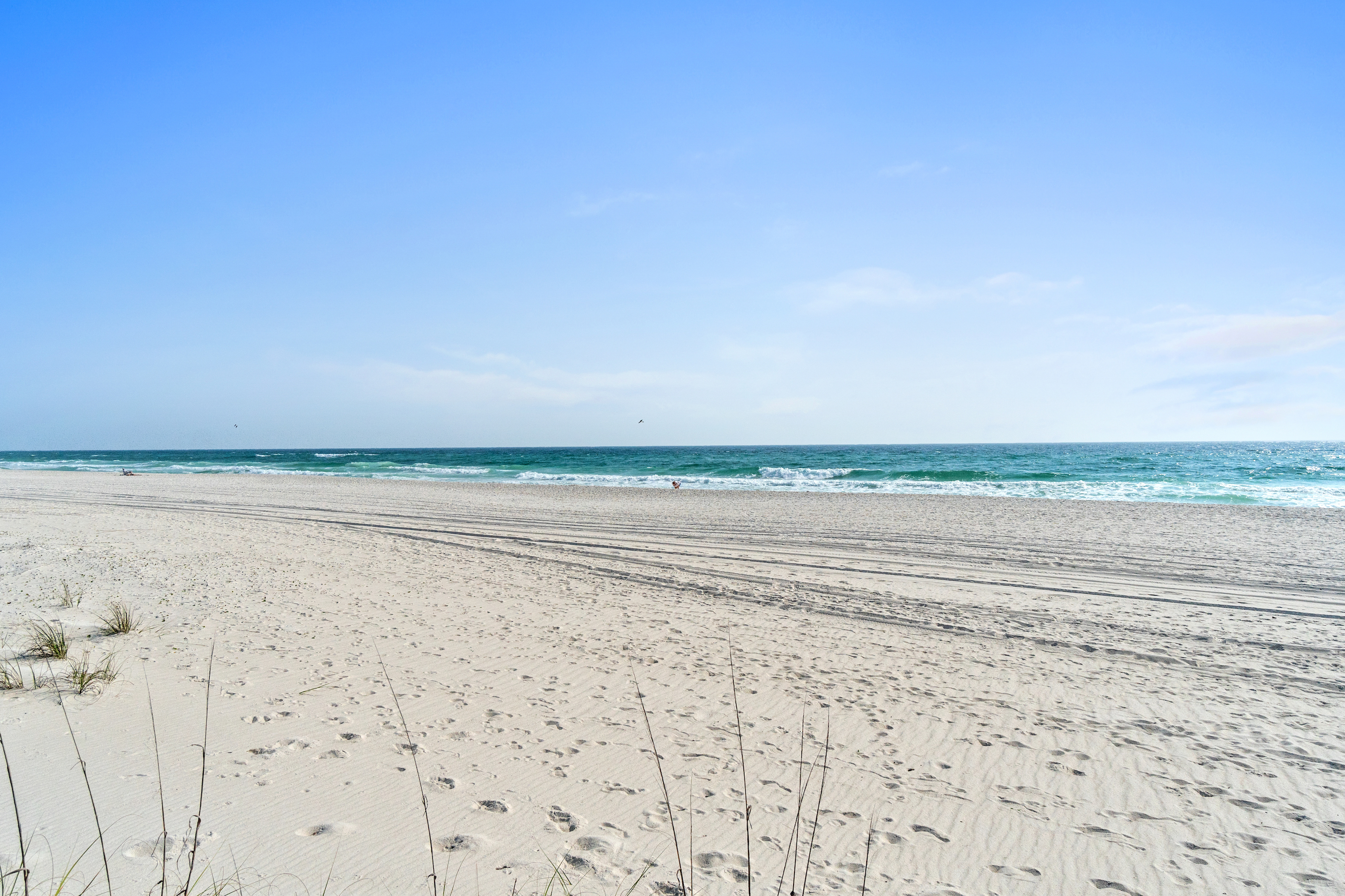 Photo #35