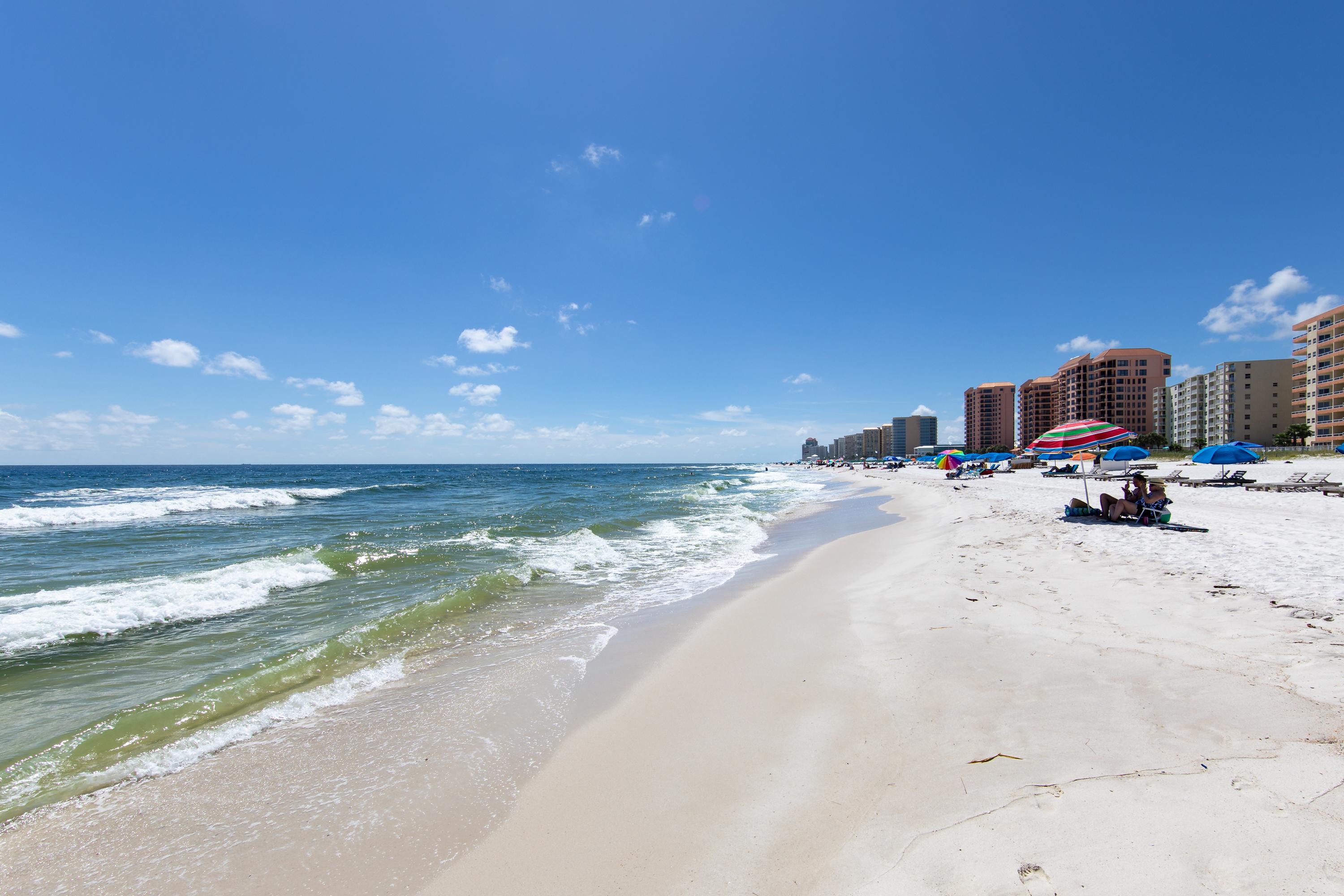 Photo #425