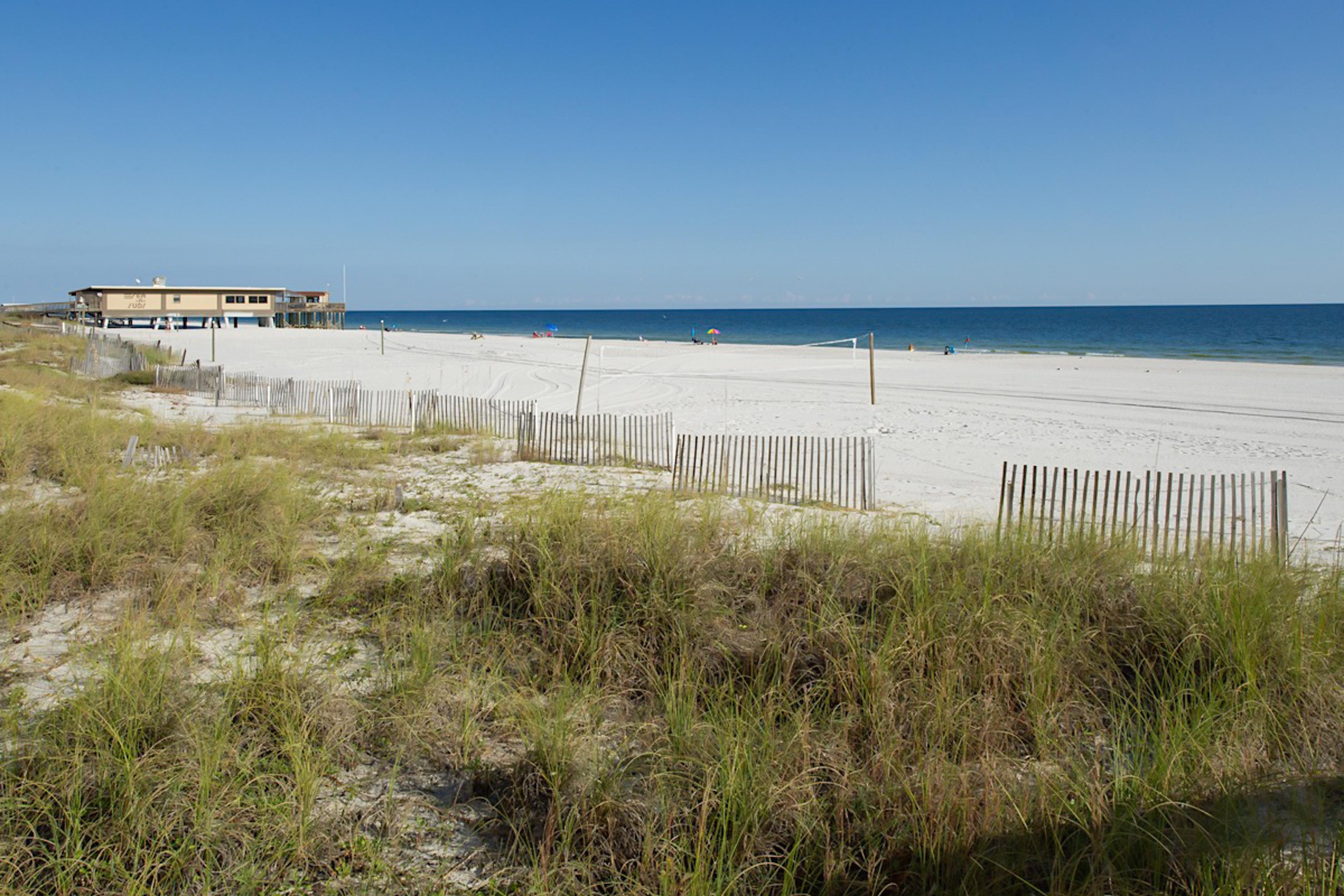 Photo #148
