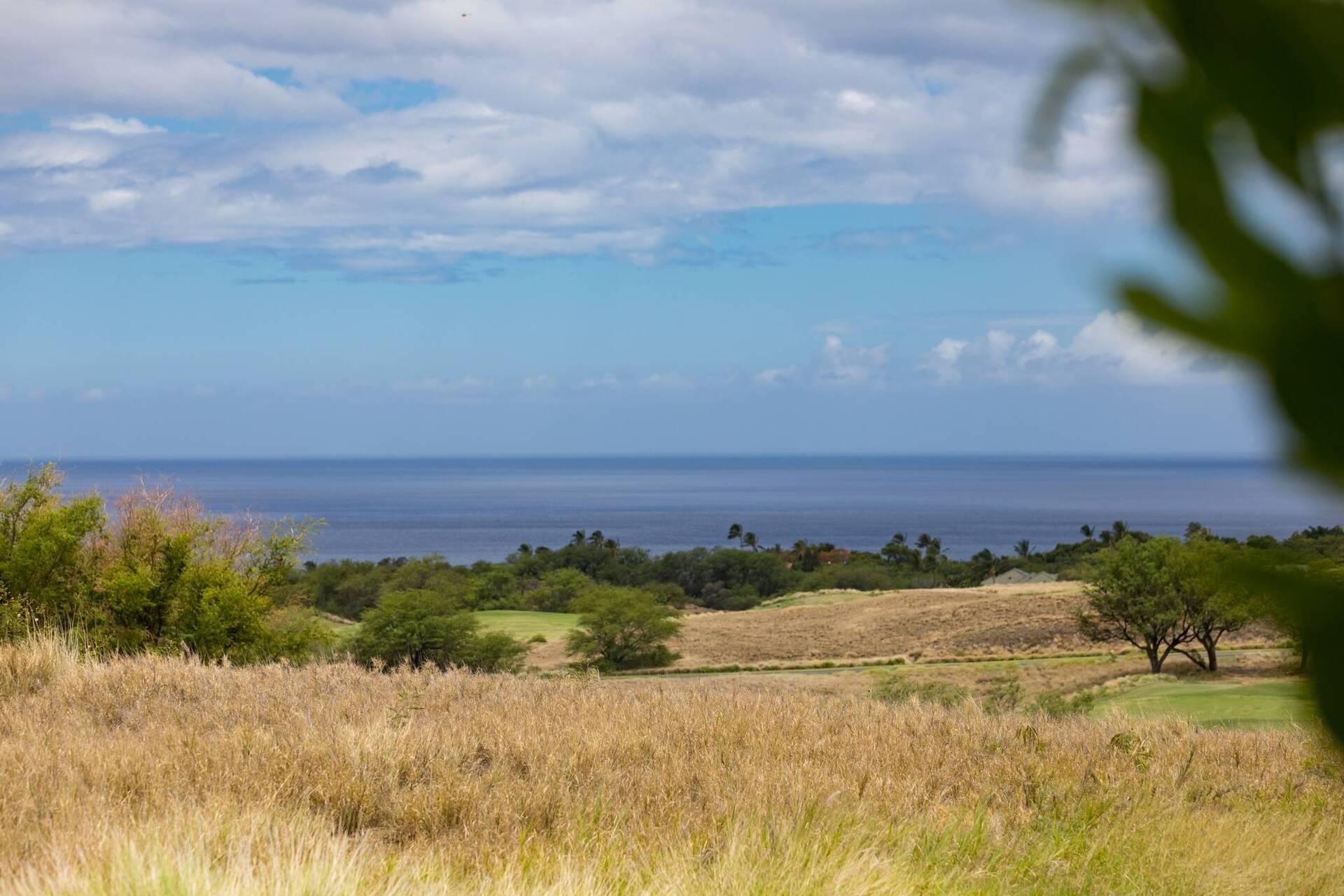 Hale Kaimana | Photo 2