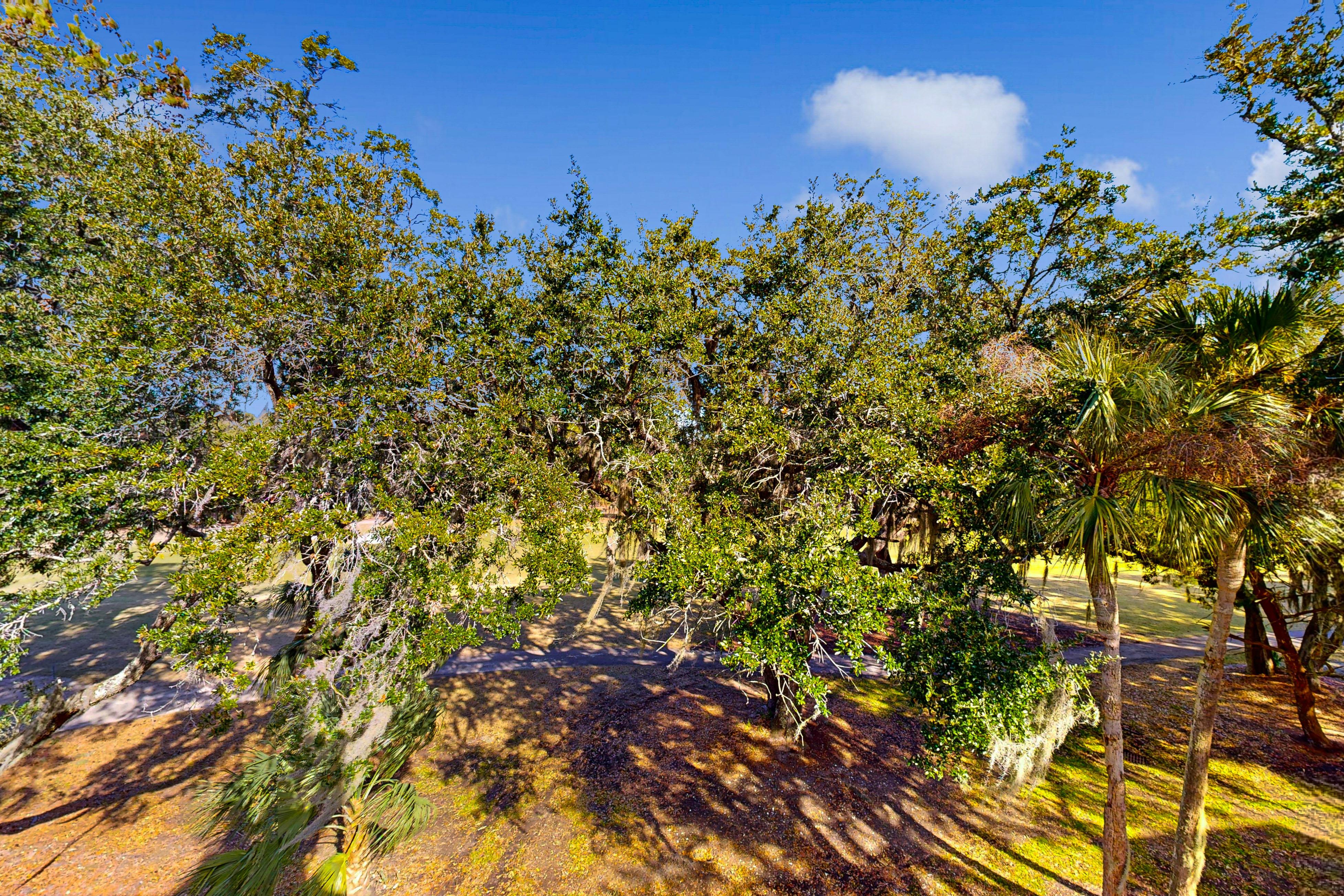 Driftwood Villa 267 5