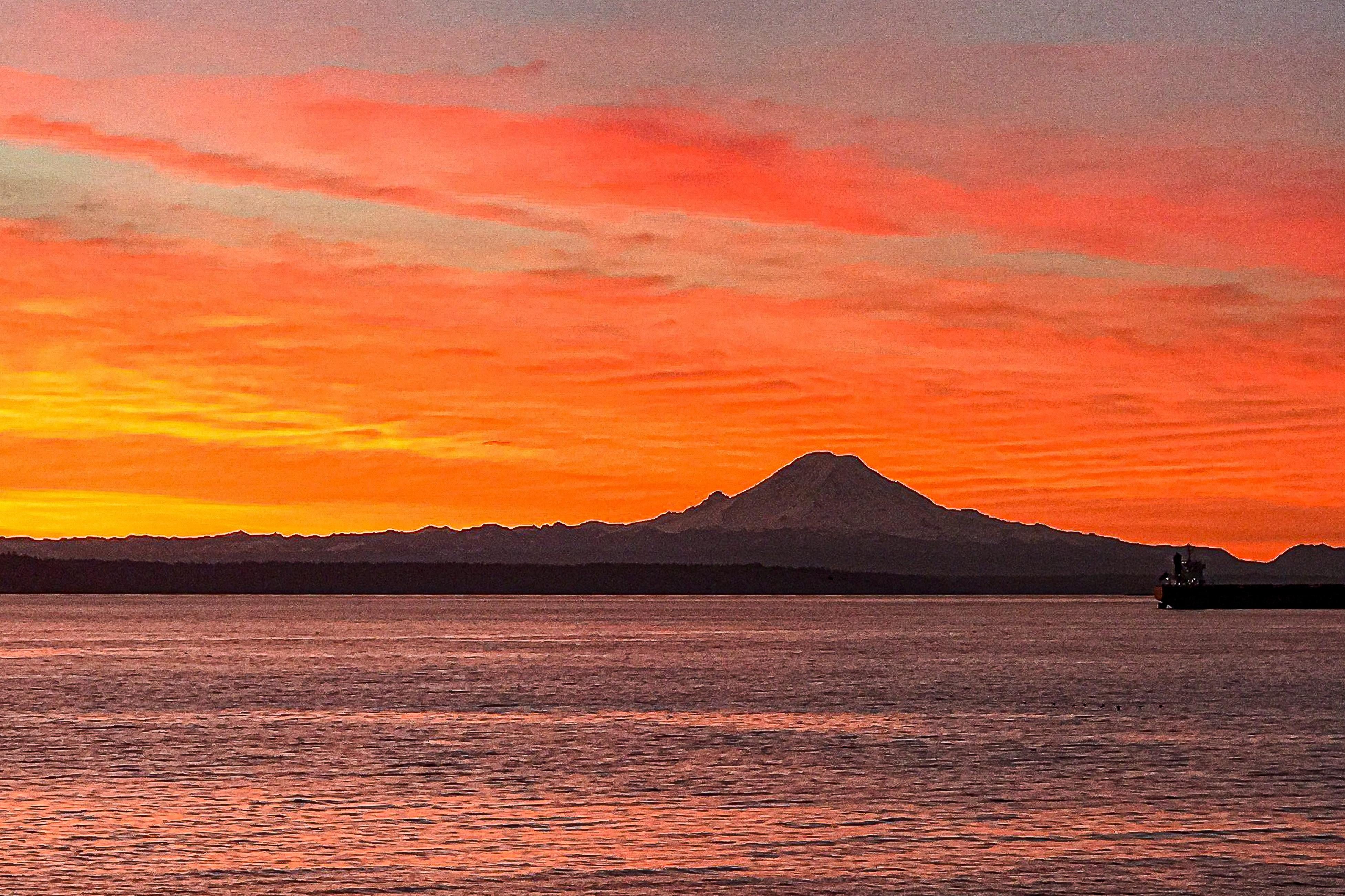 Rainier View Beach House 4