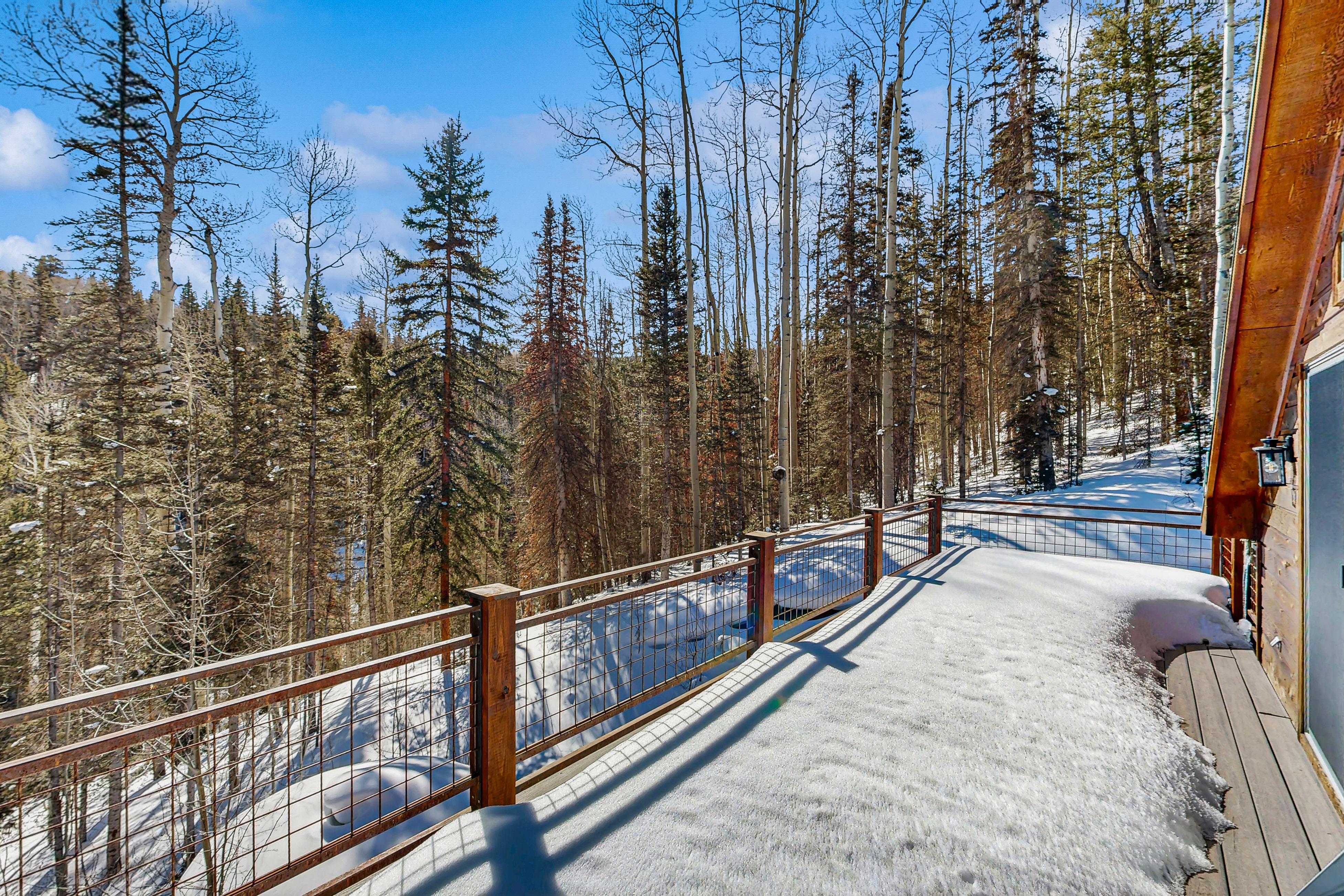 Fox Farm 880 - Ski Ranch Chalet 3