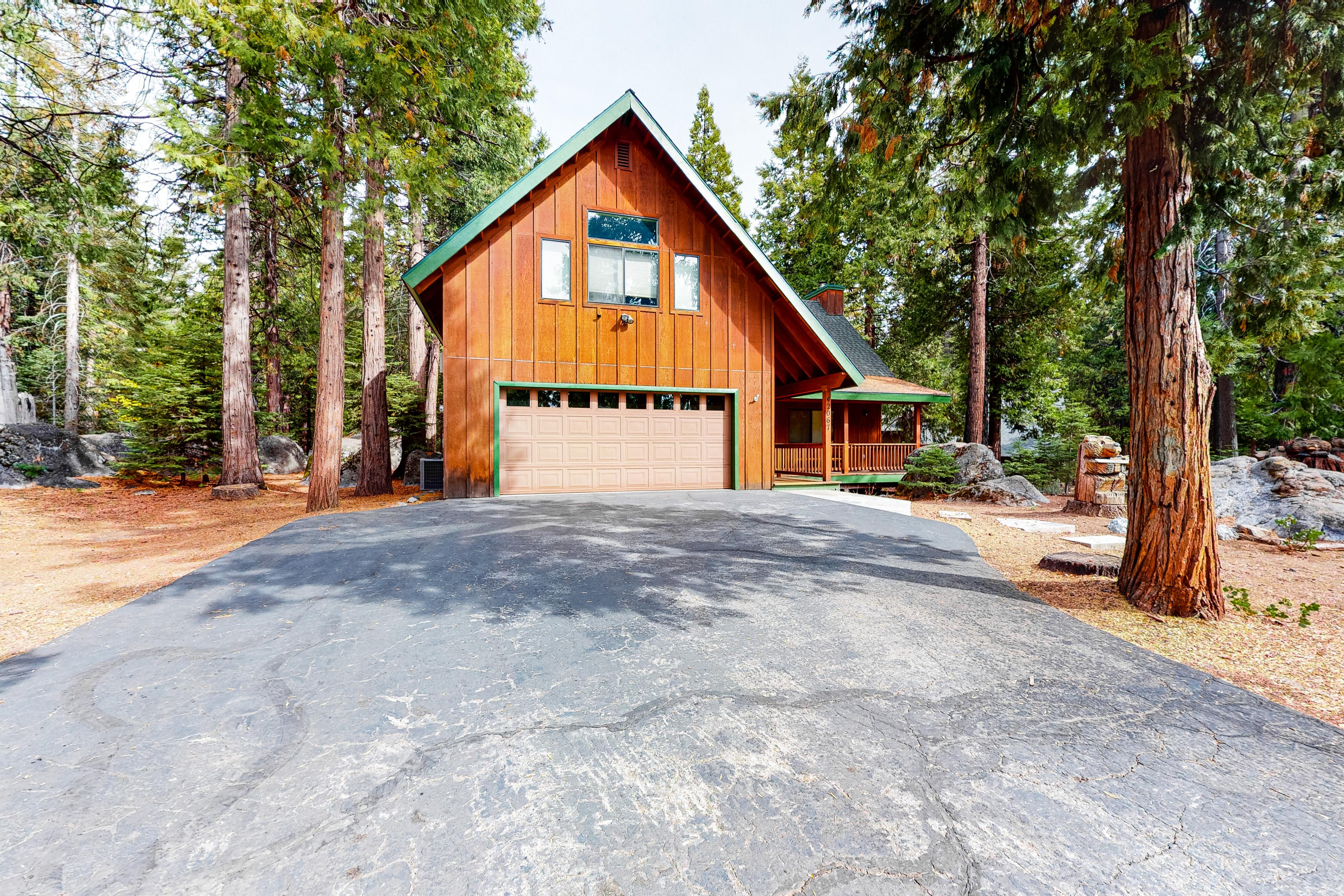 The Rockin' Buffalo 2