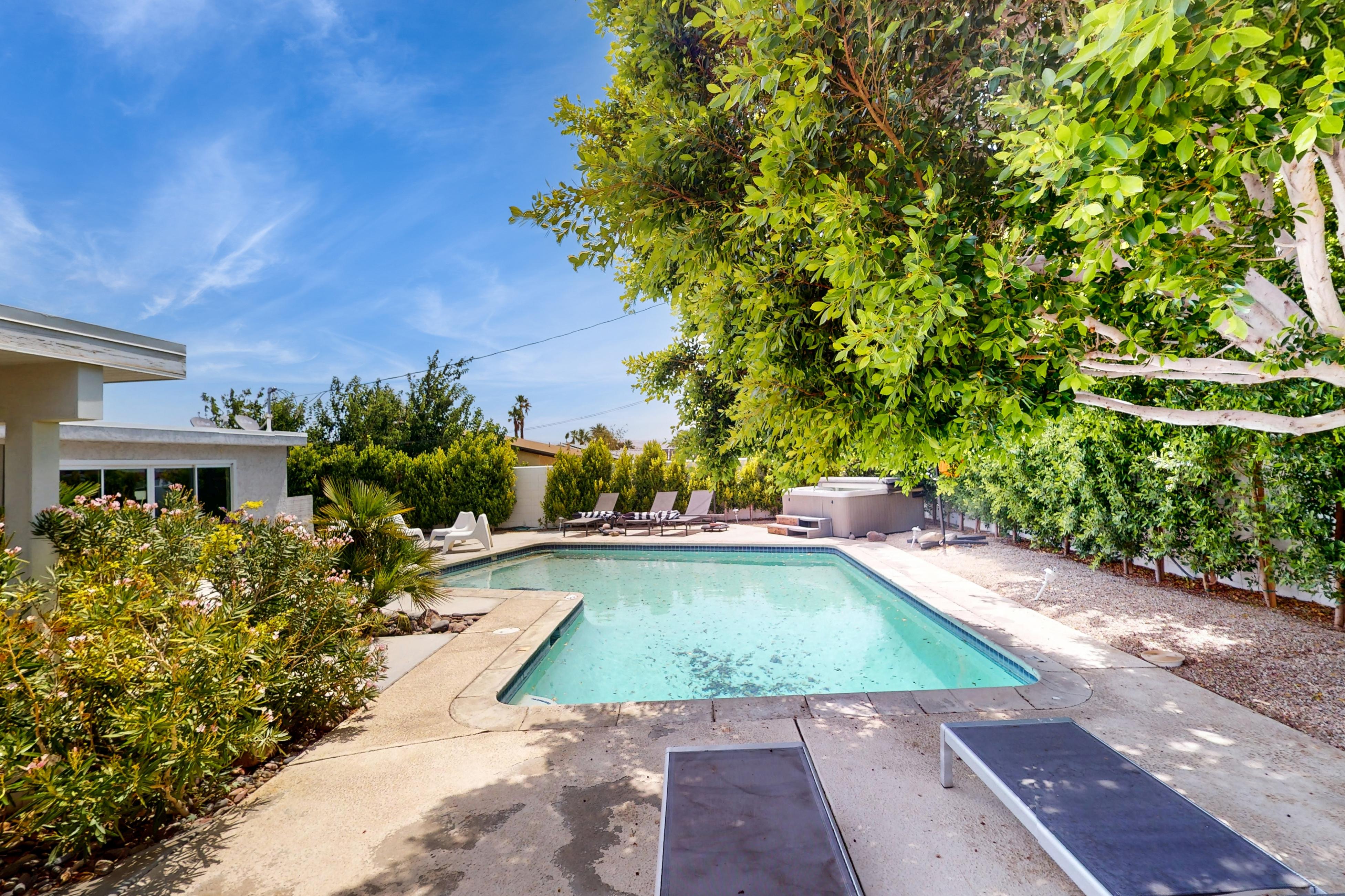 Palm Springs Gem - 2928