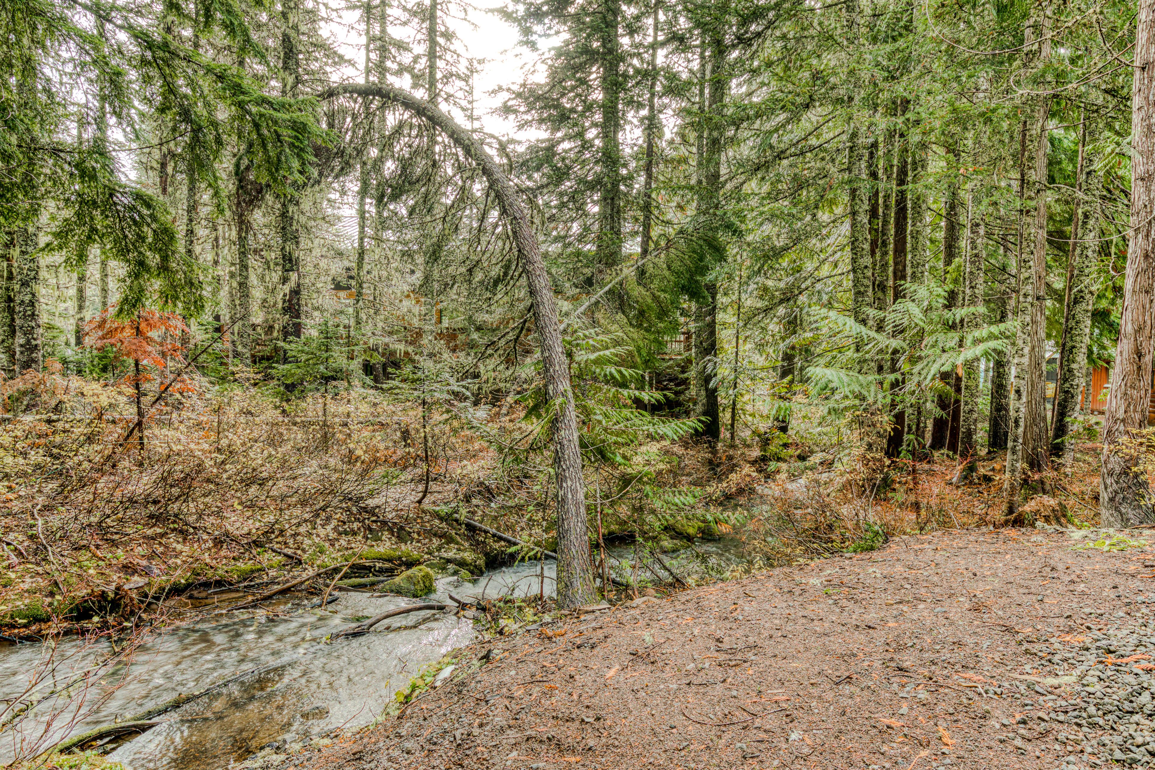 Baernhaus | Photo 42