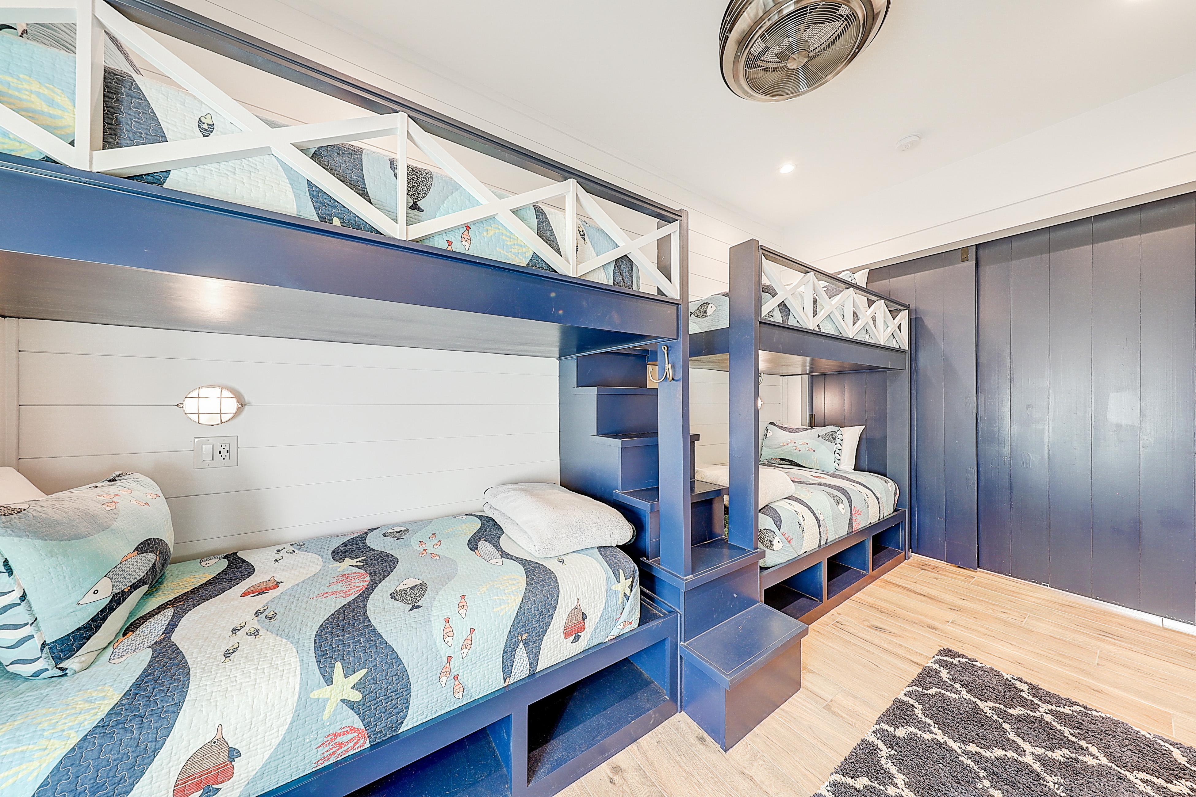 Turtle Ransas at Palmilla Beach | Photo 47