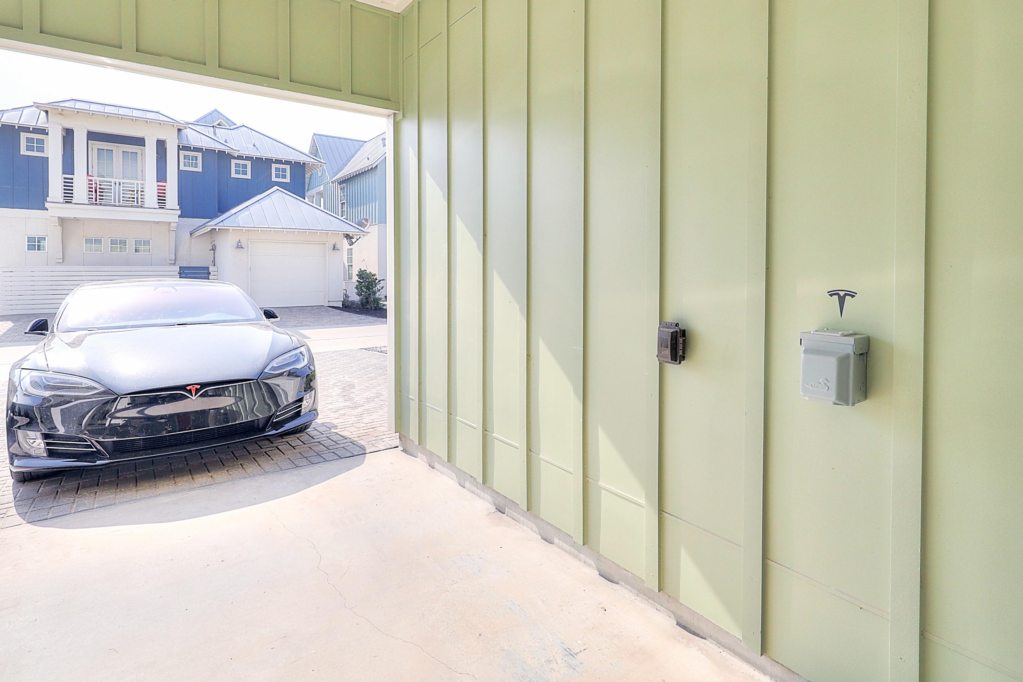 Turtle Ransas at Palmilla Beach | Photo 56