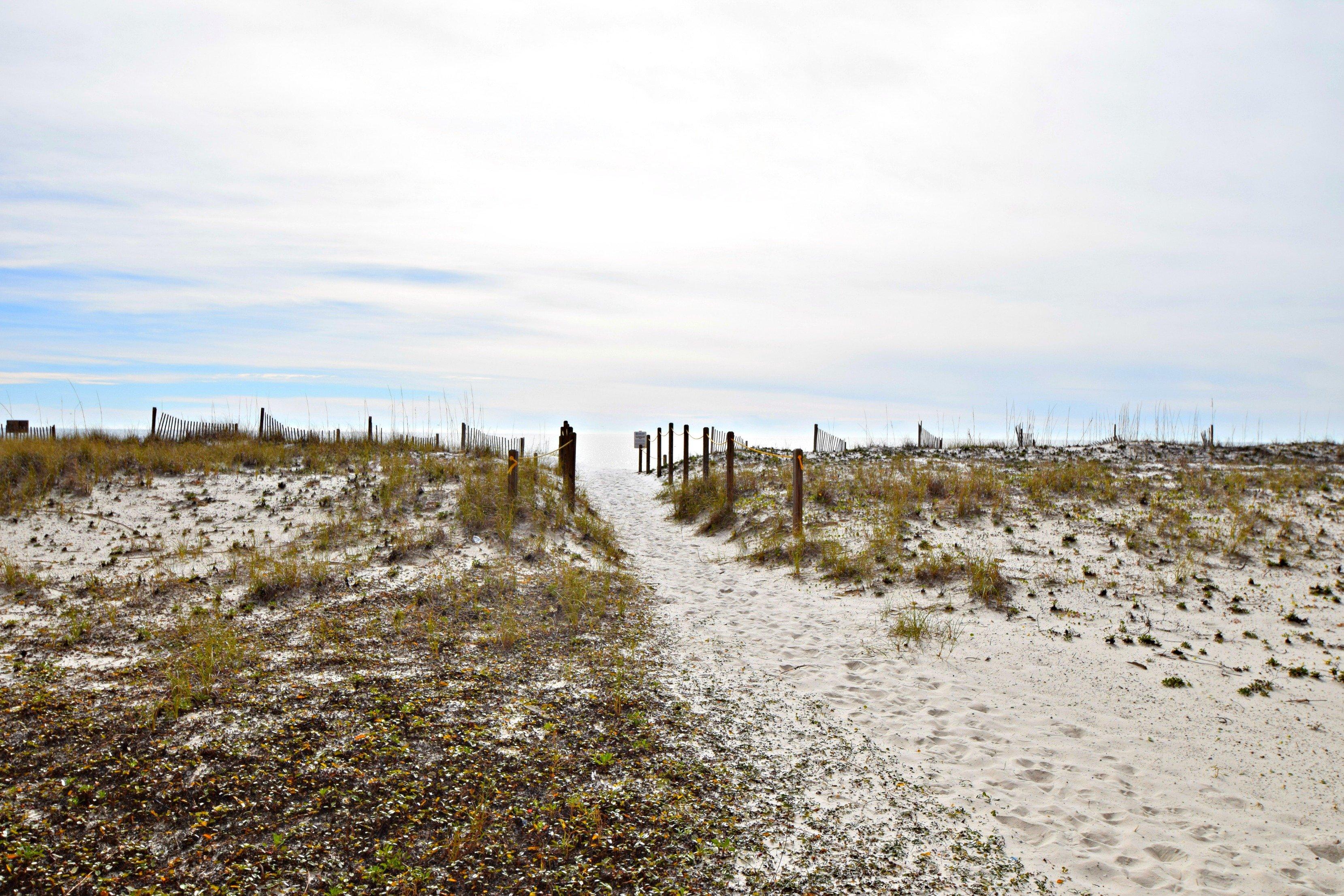 Photo #45