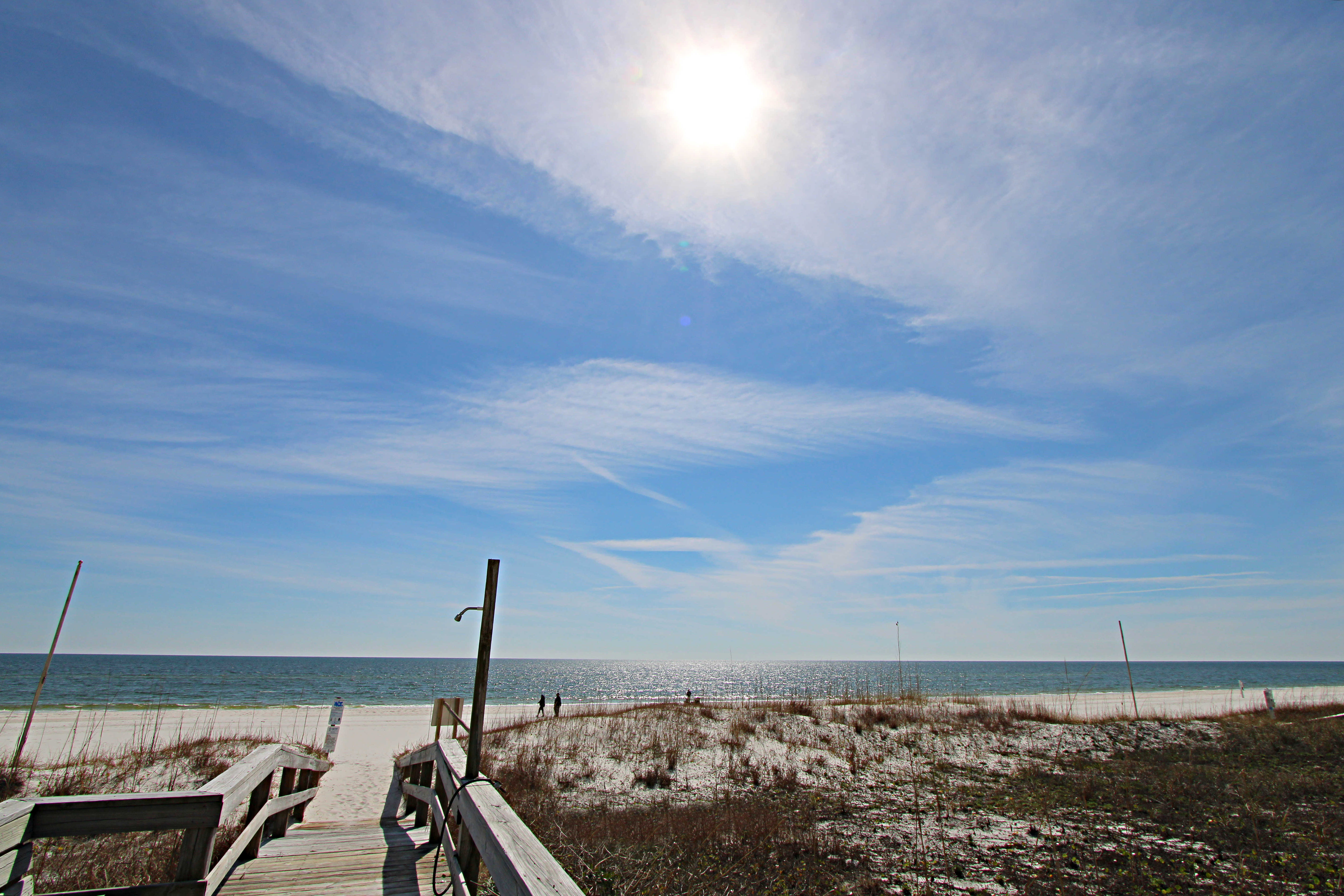 Photo #16