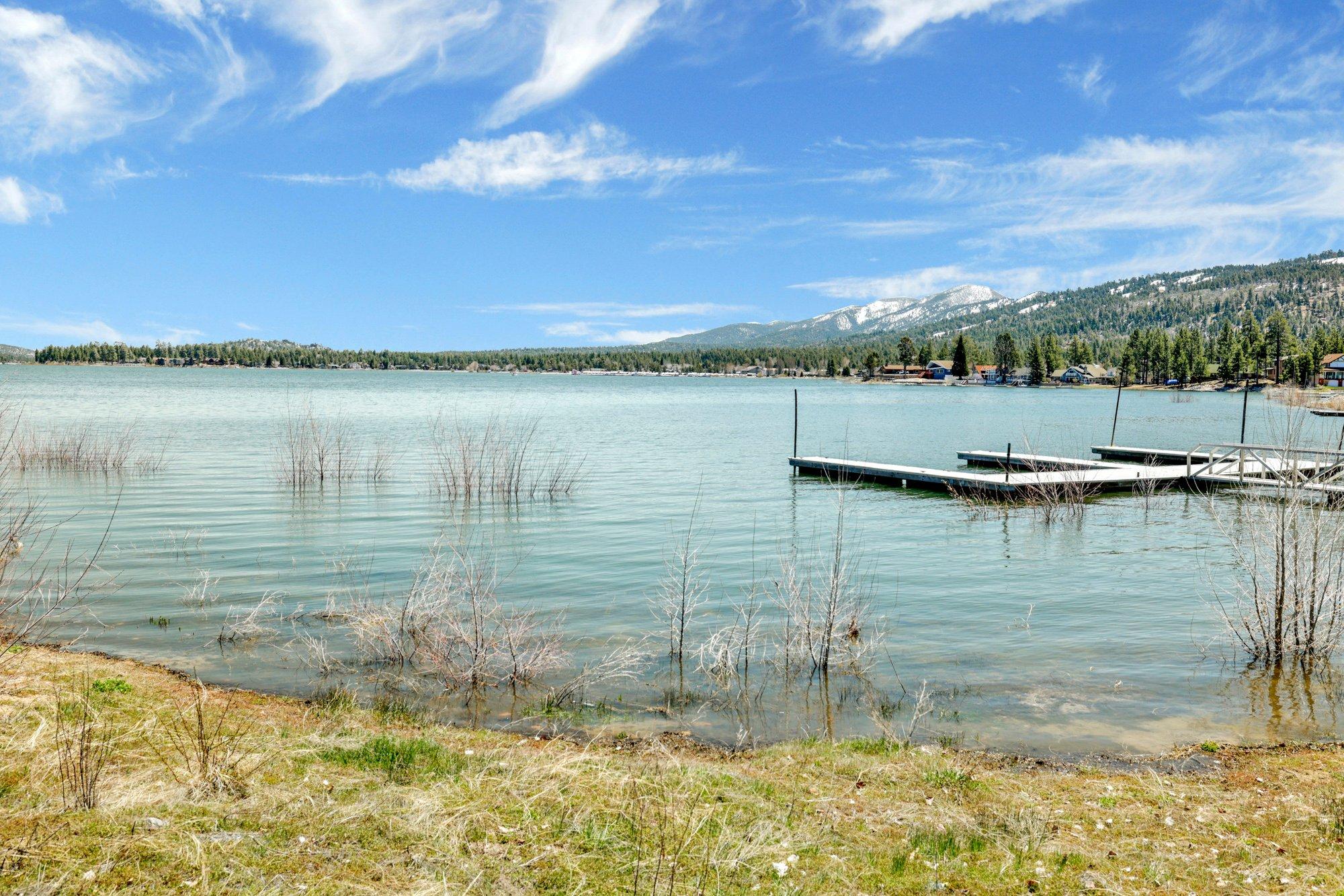 FRANK'S OLD BEAR #149