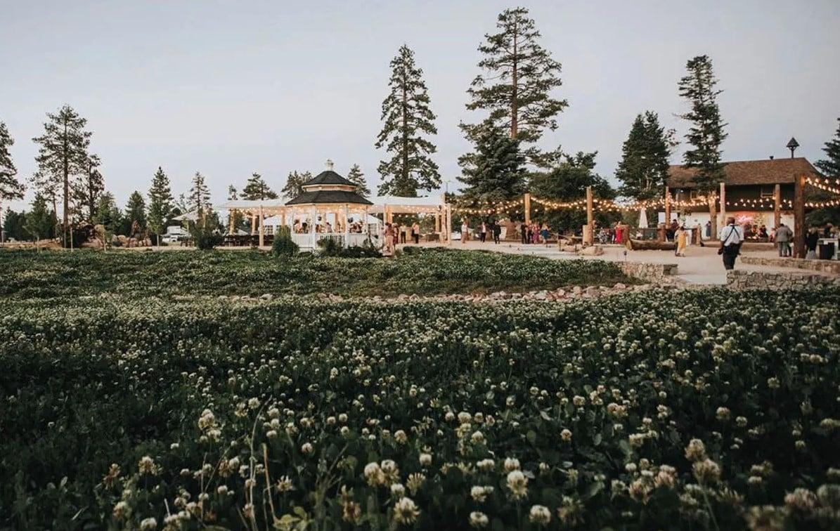 THE BELL TOWER #2503