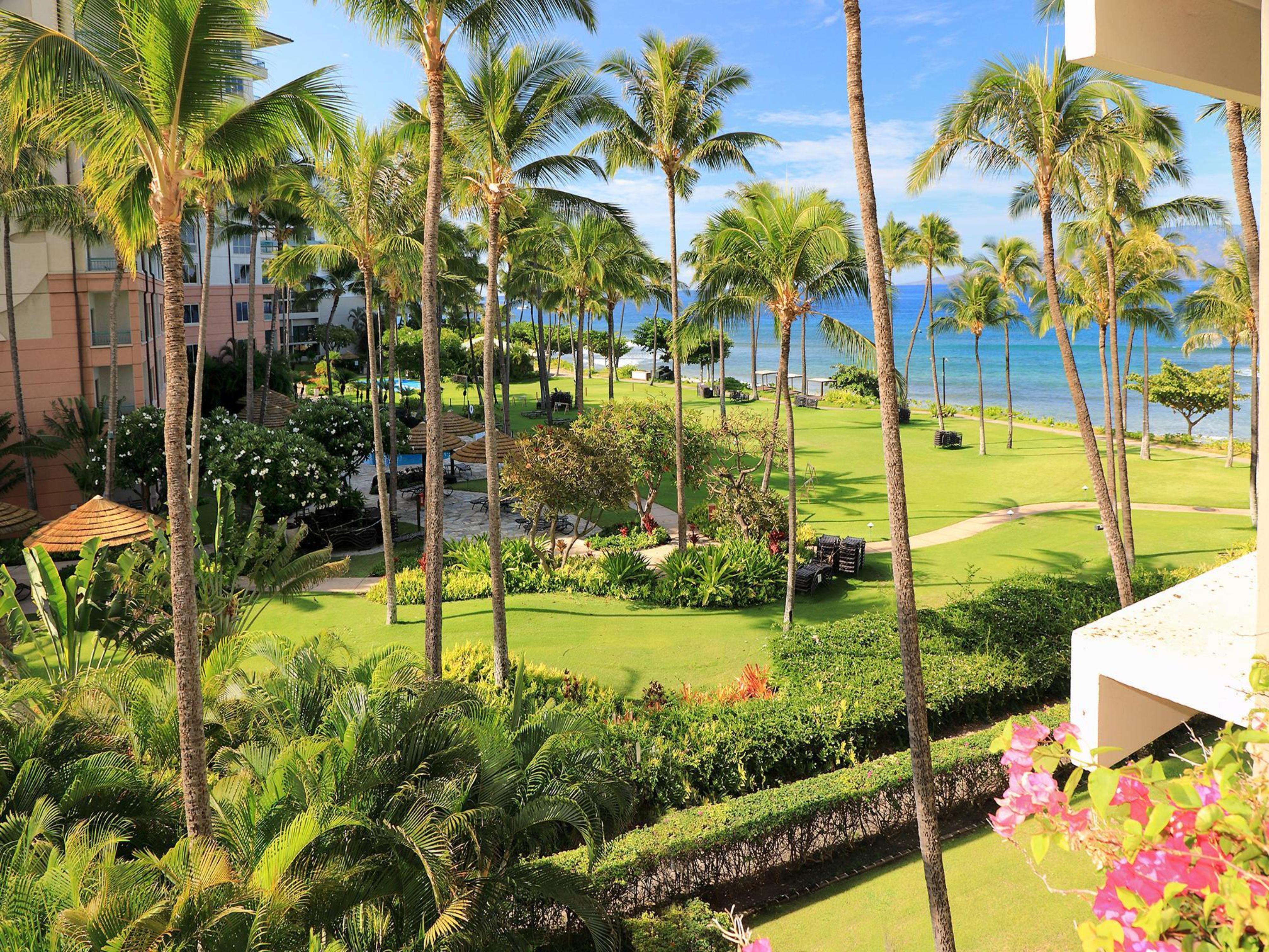 Kaanapali Alii 342