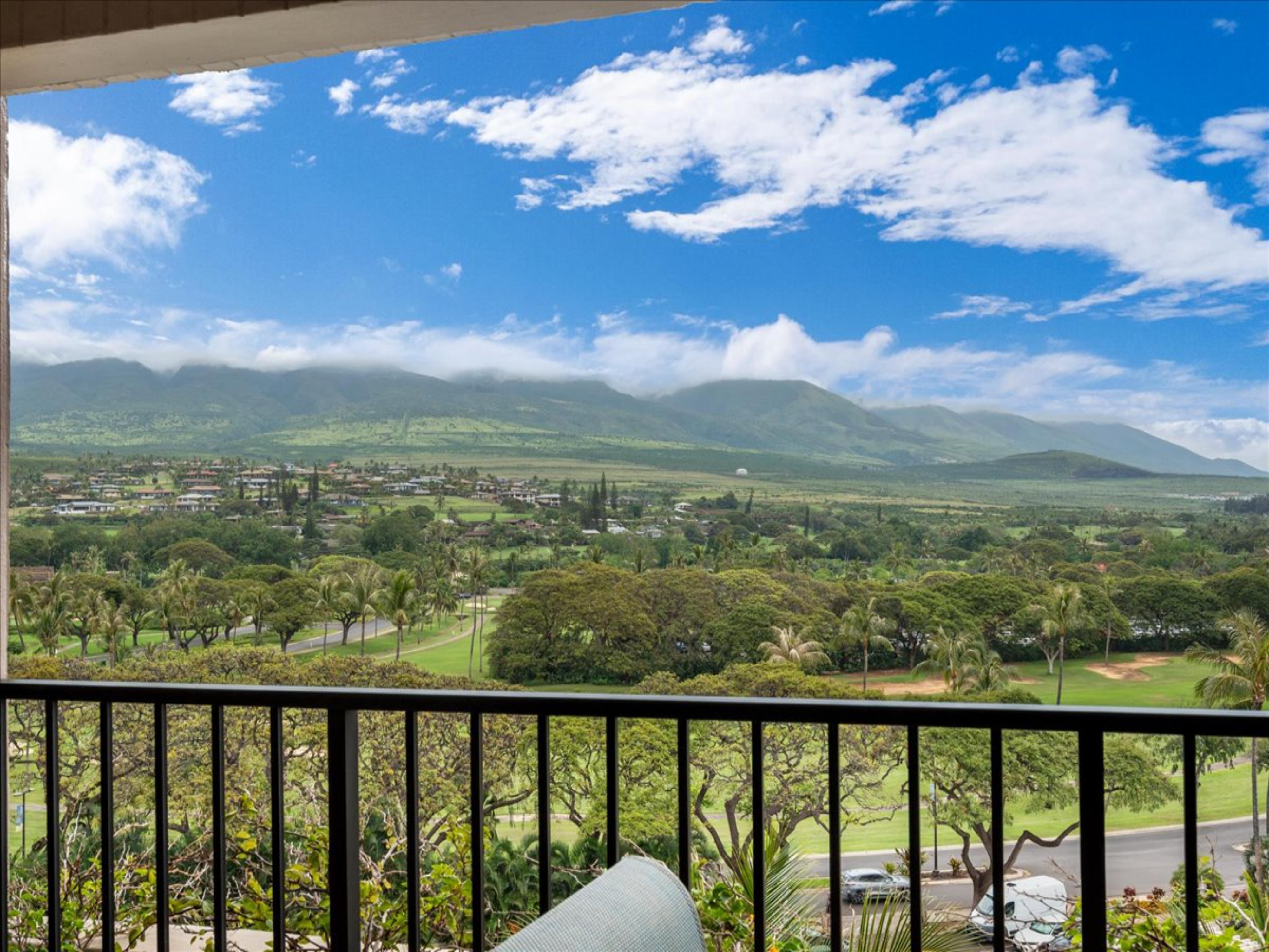 Kaanapali Alii 485