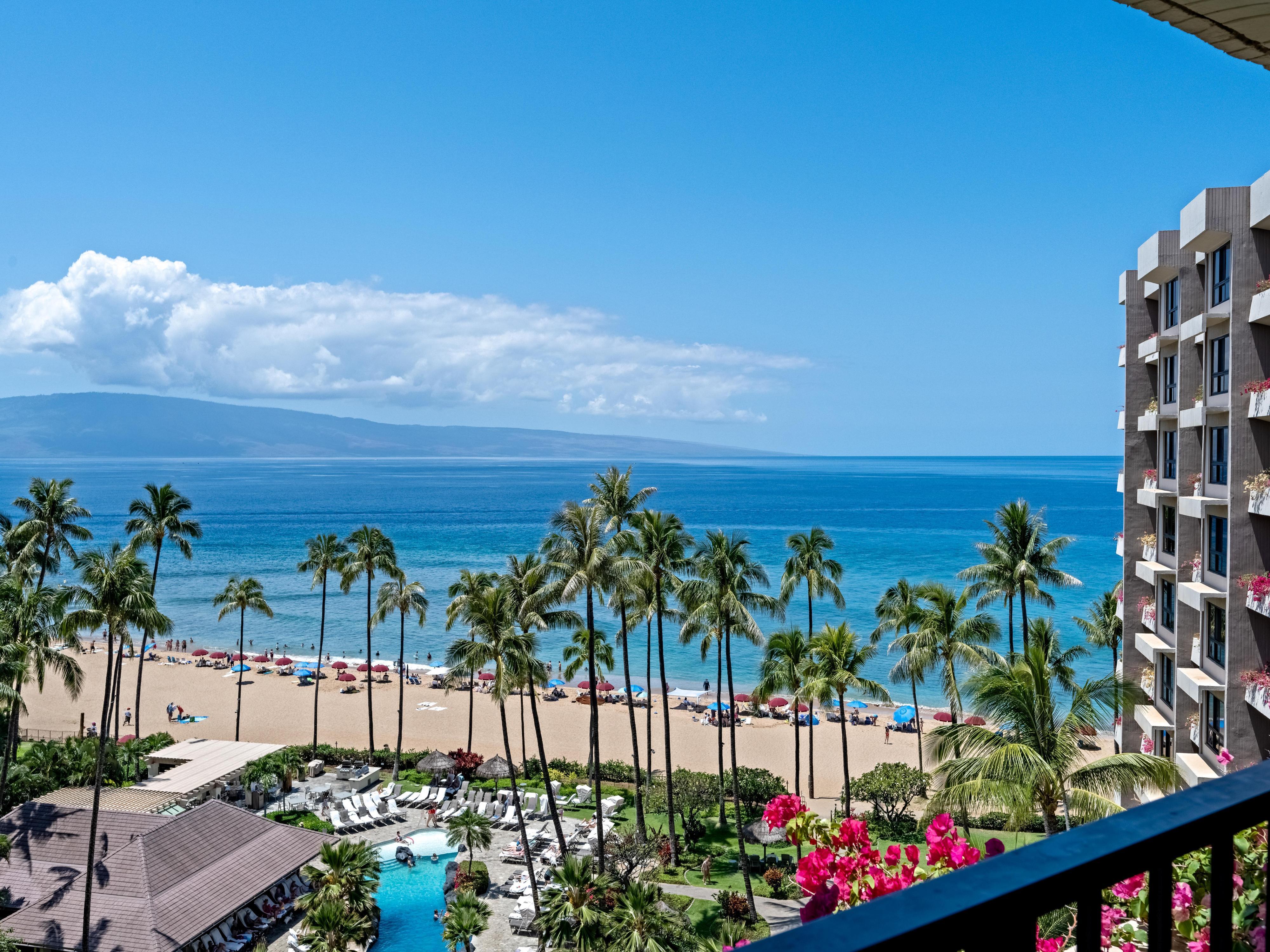Kaanapali Alii 293