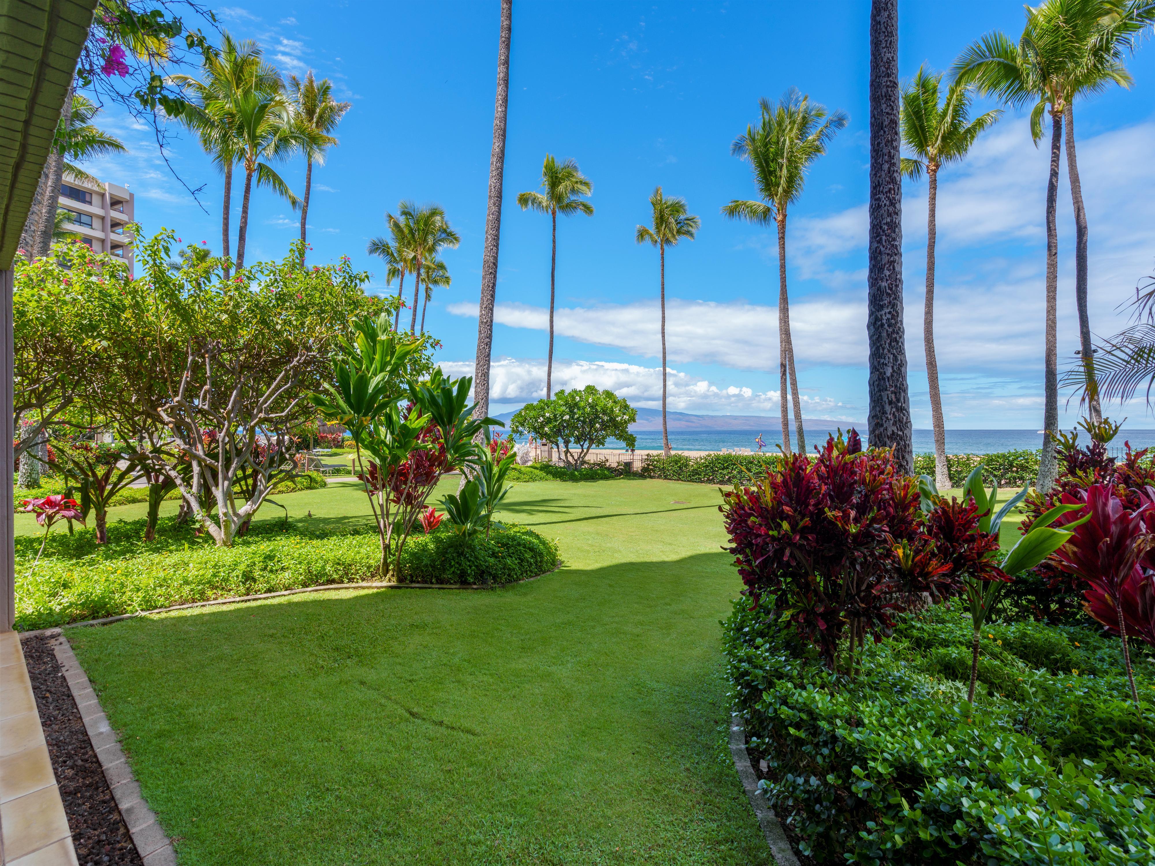 Kaanapali Alii 116