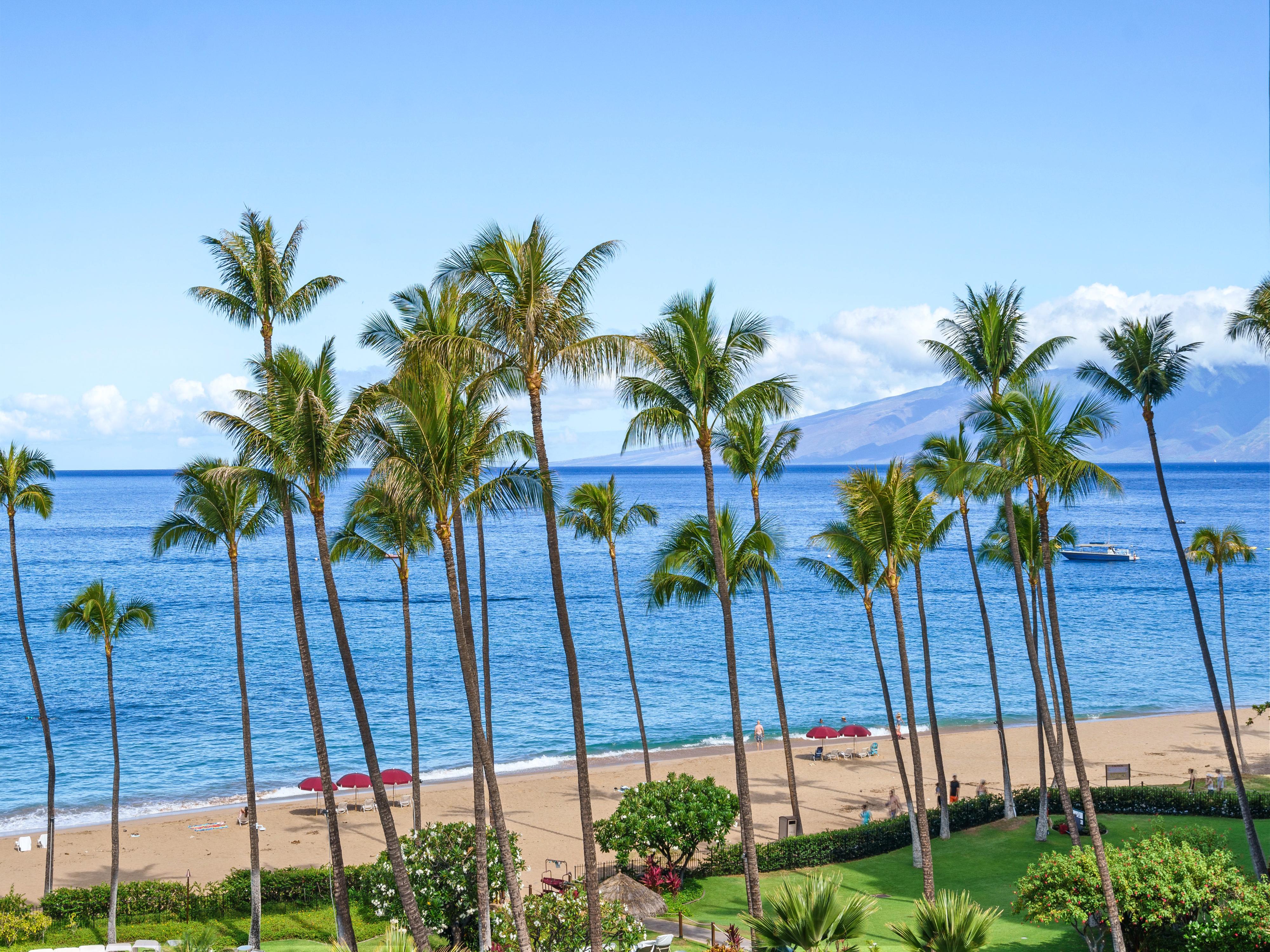 Kaanapali Alii 466