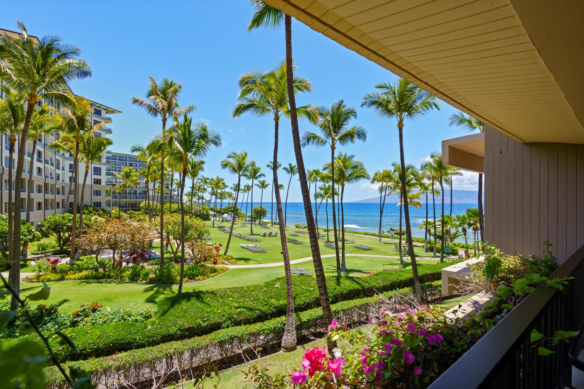 Kaanapali Alii 334