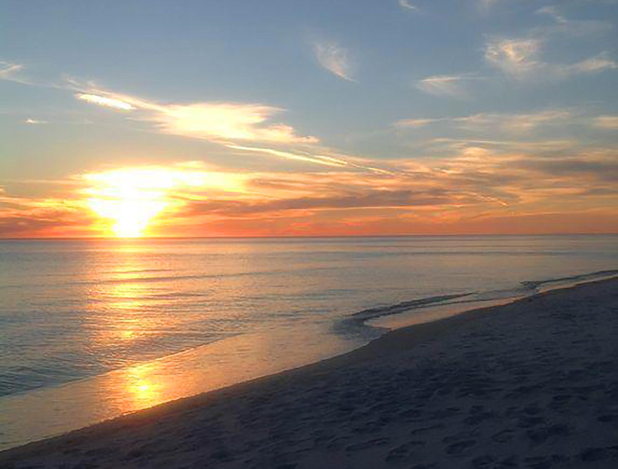 Photo #94