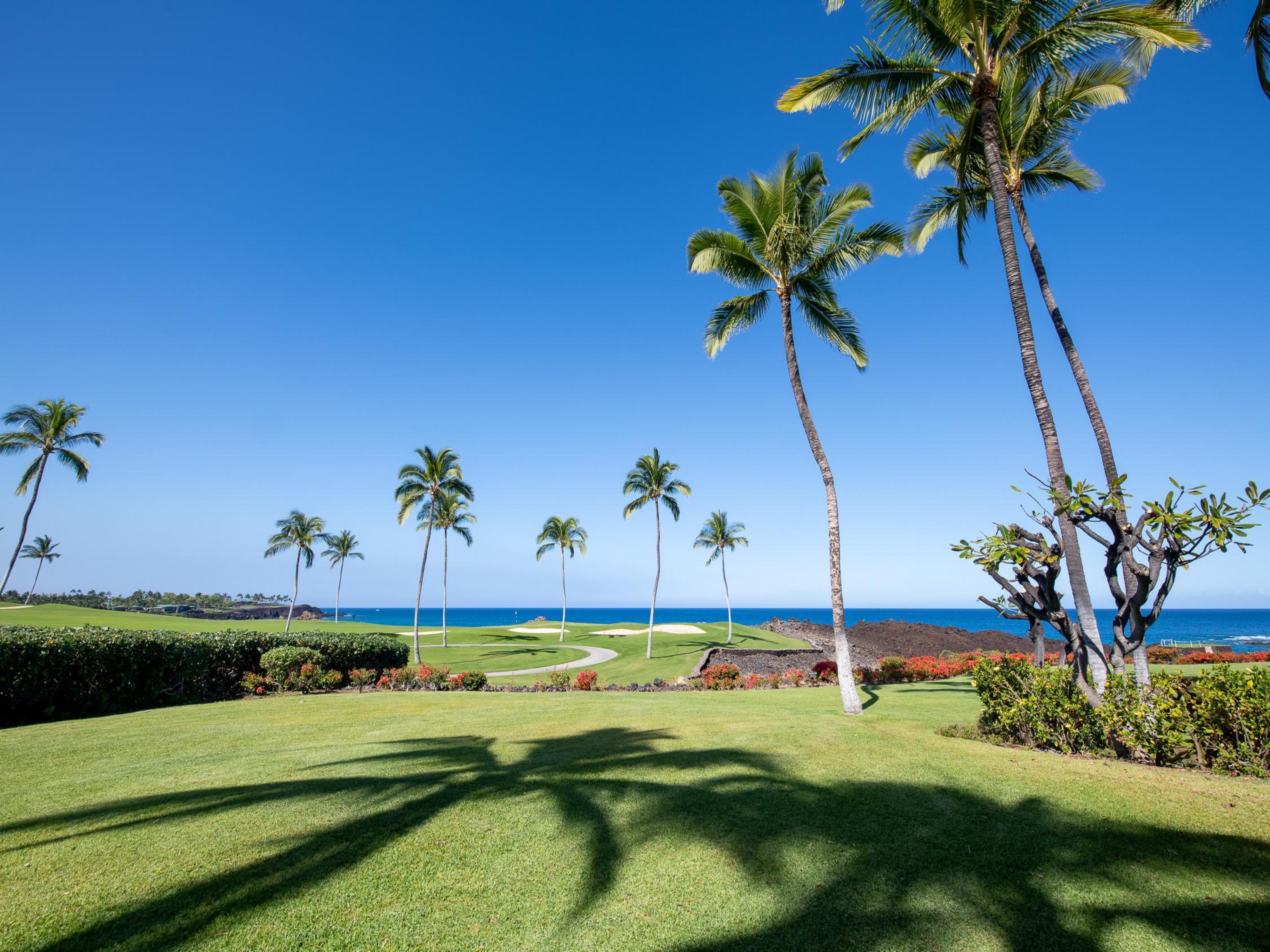 Mauna Lani Point E106