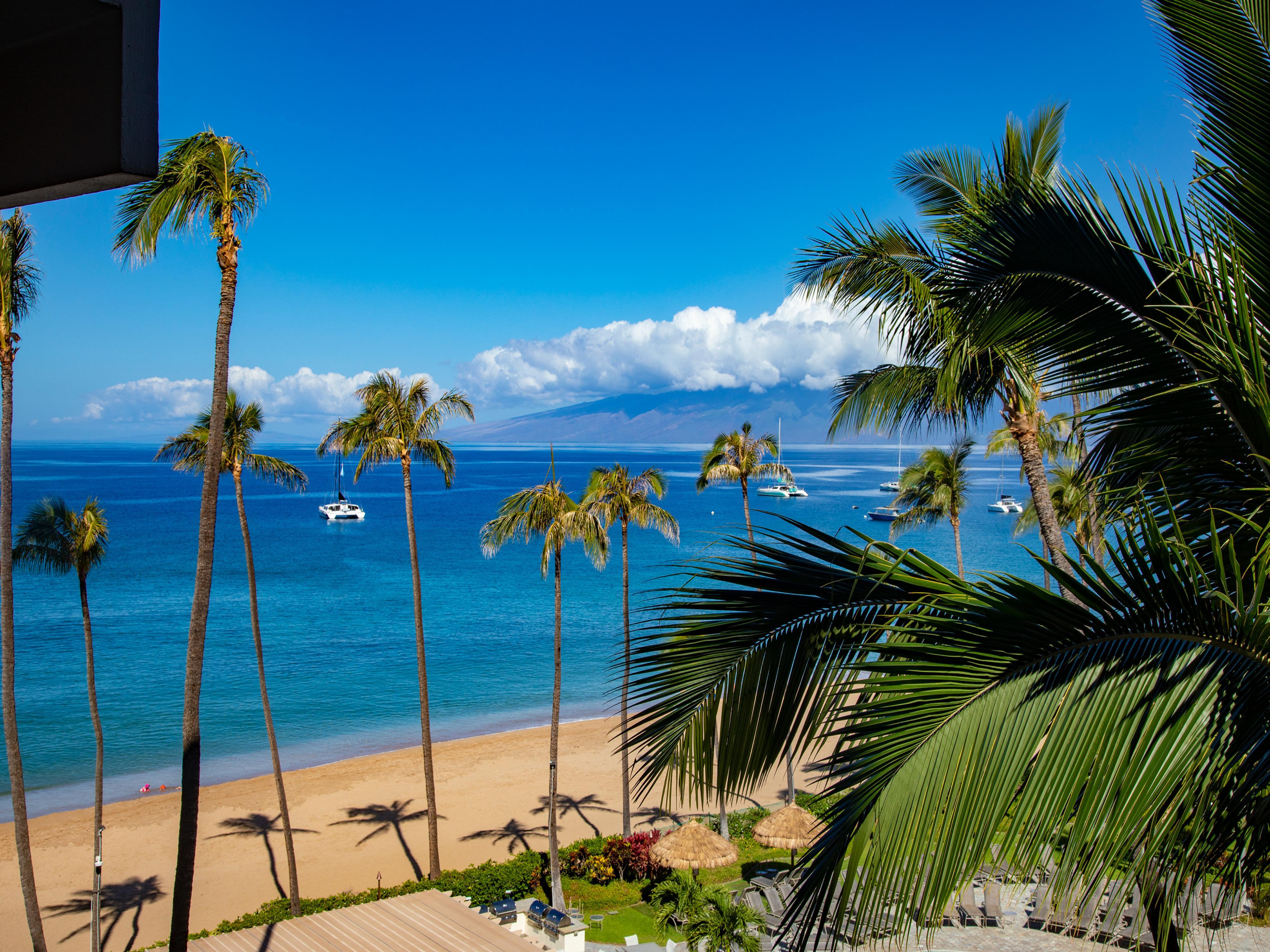 Kaanapali Alii 361