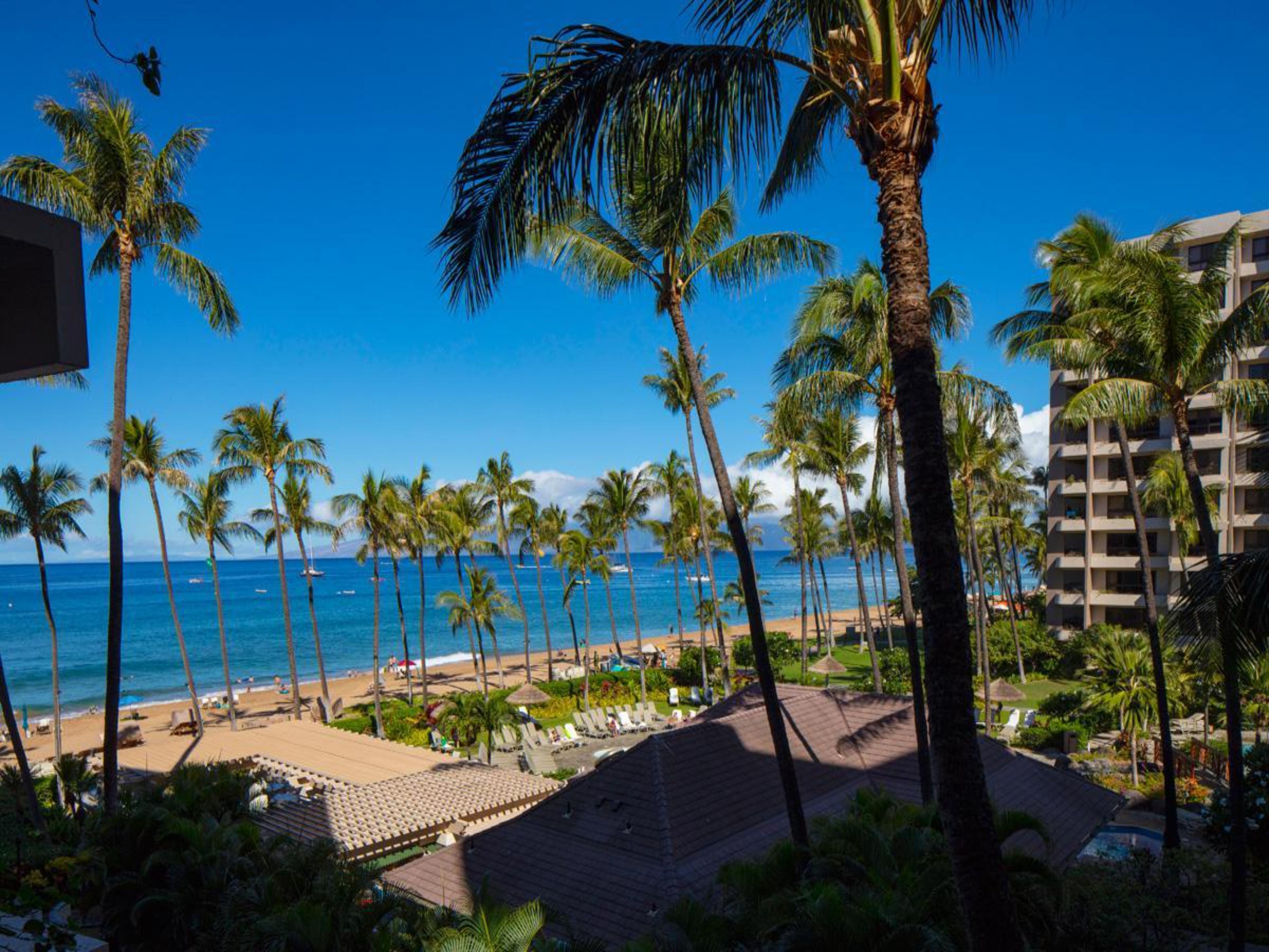 Kaanapali Alii 341
