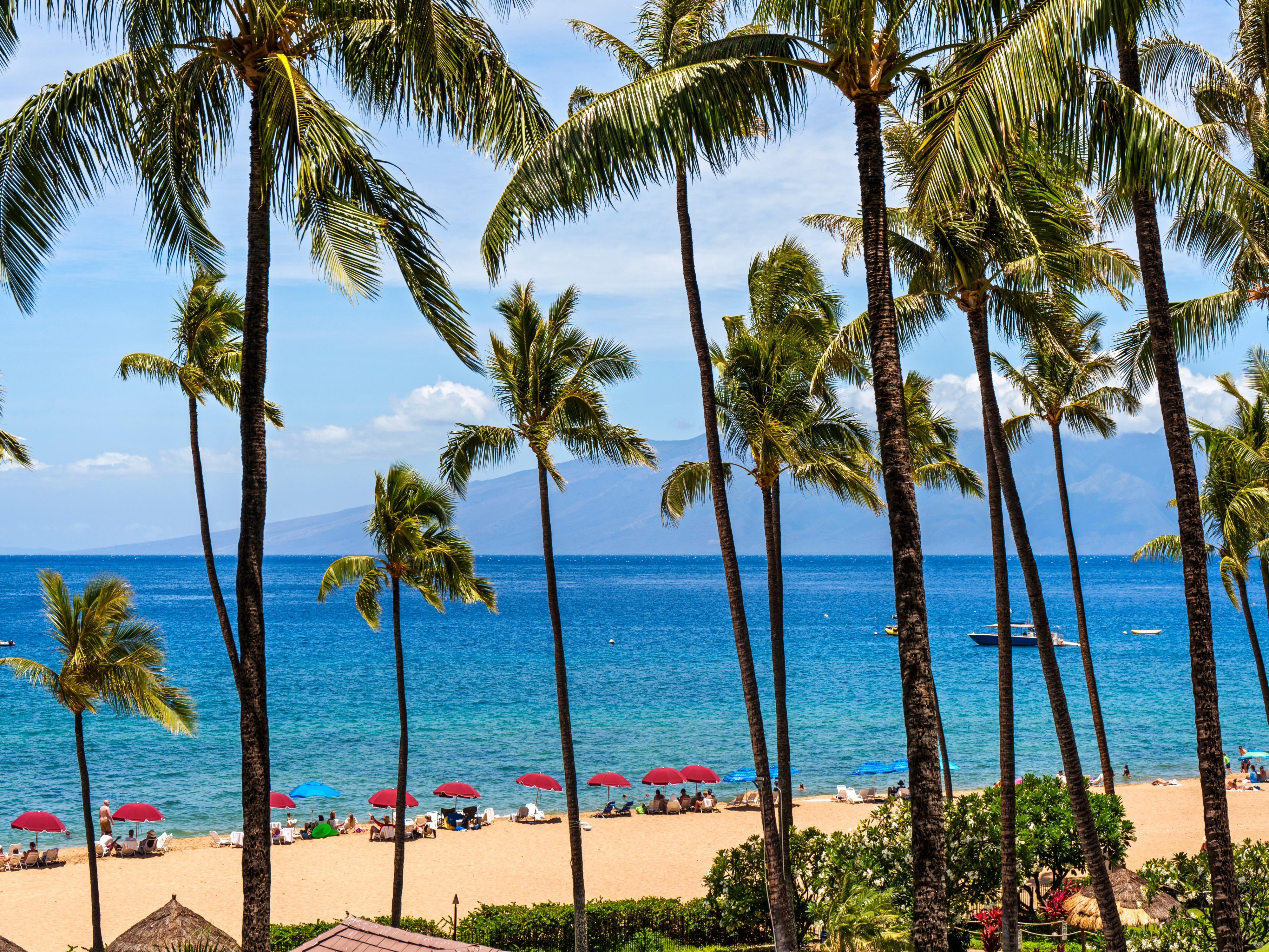 Kaanapali Alii 442