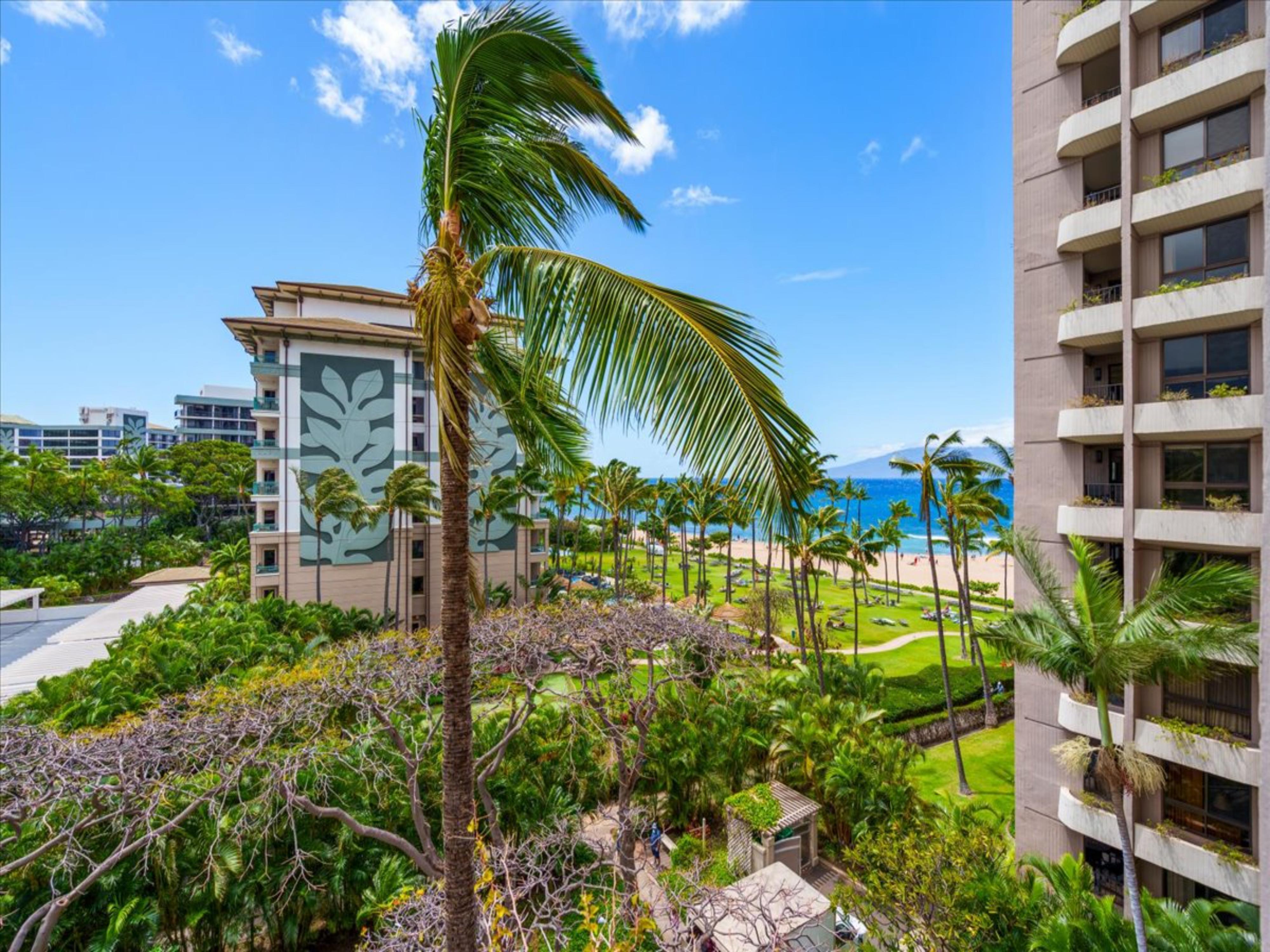 Kaanapali Alii 461