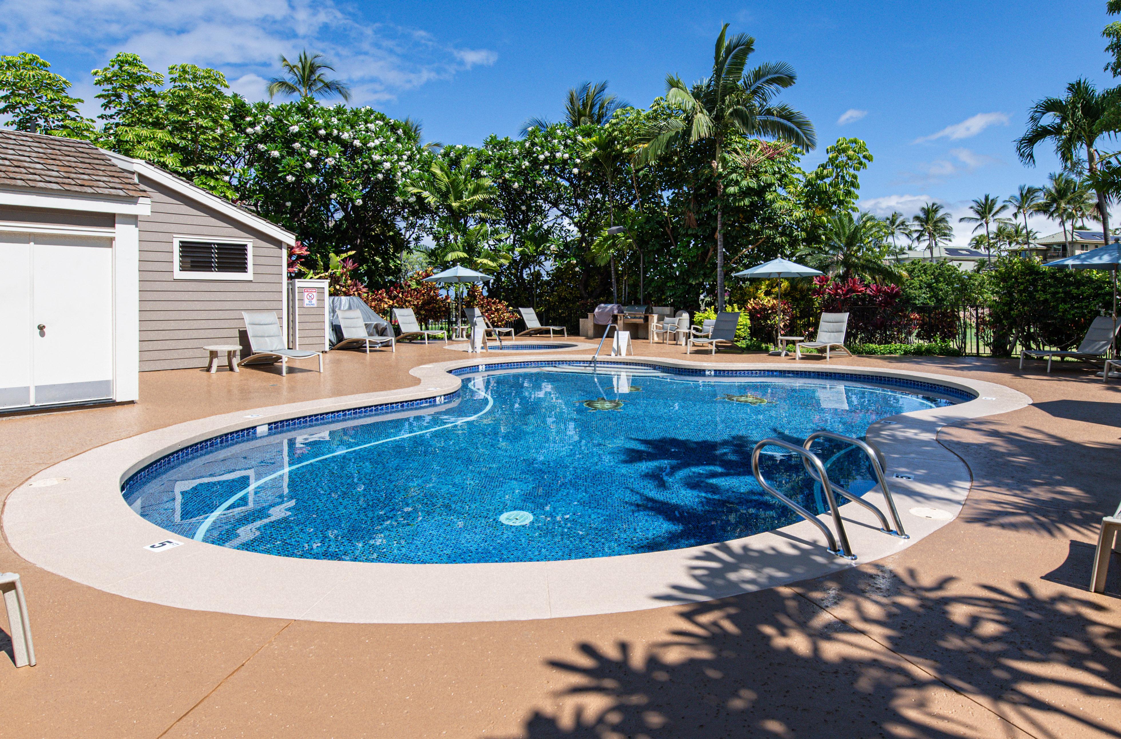 Wailea Grand Champions 43