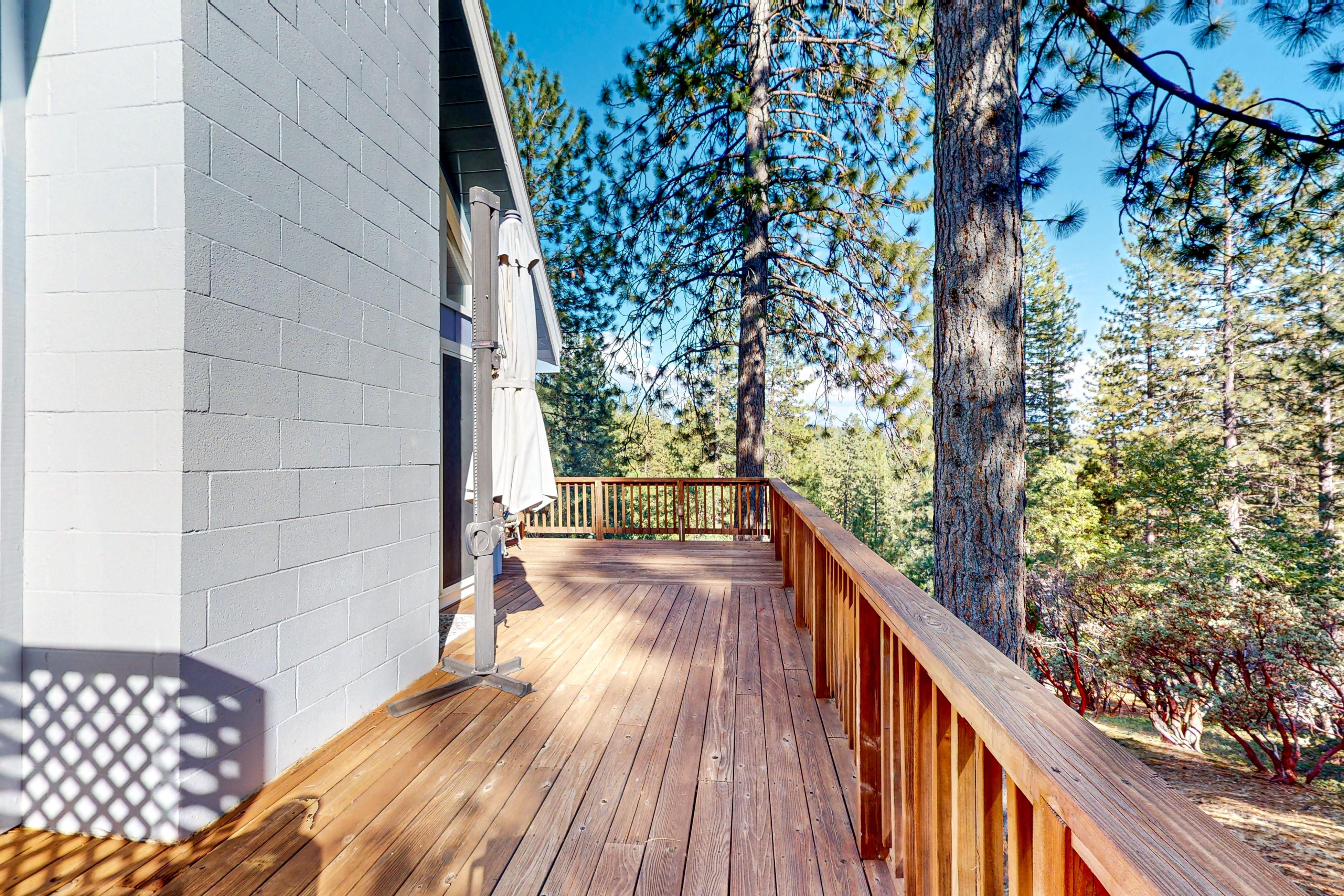 Doris in the Forest 2