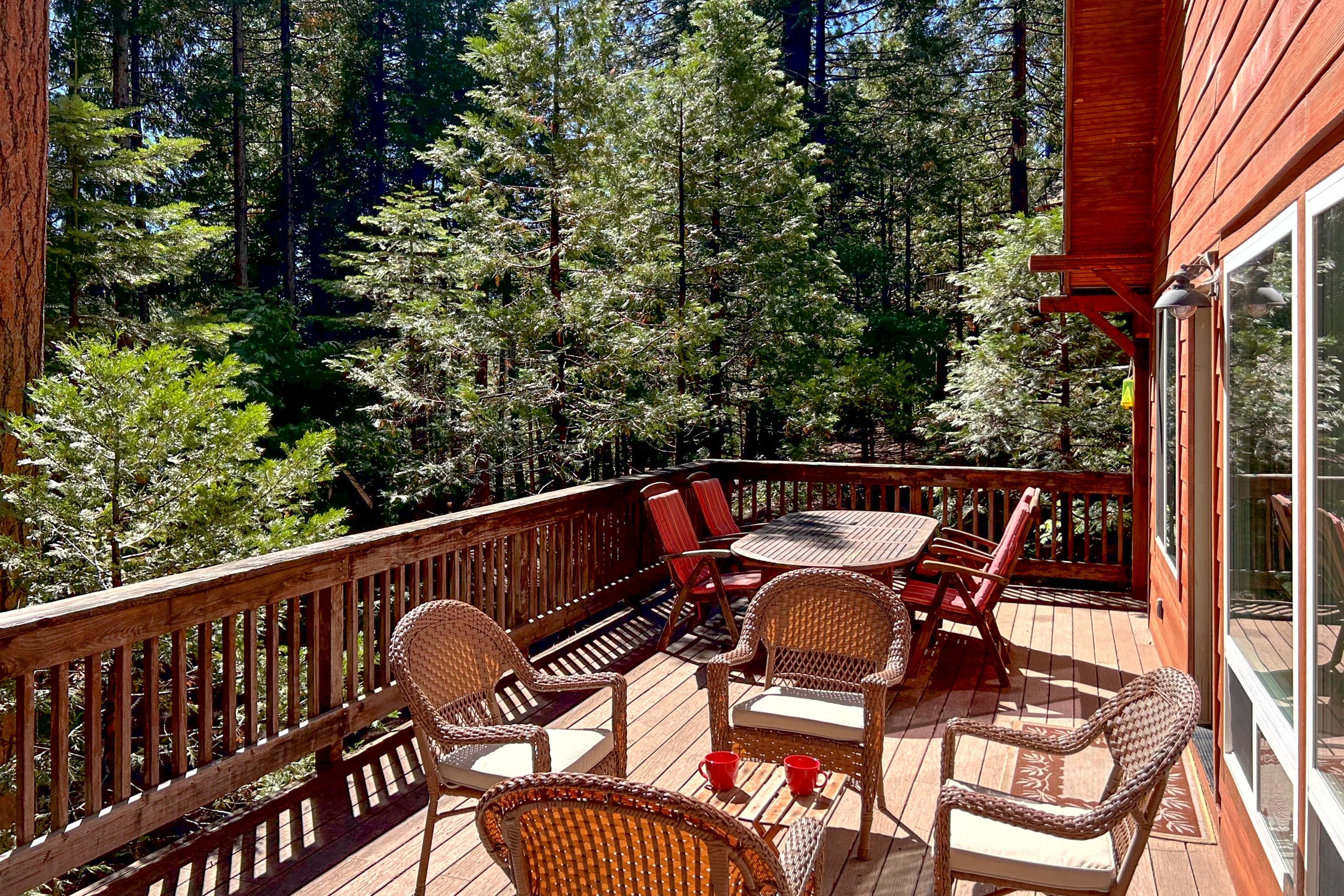 Whispering Woods Hideaway 3