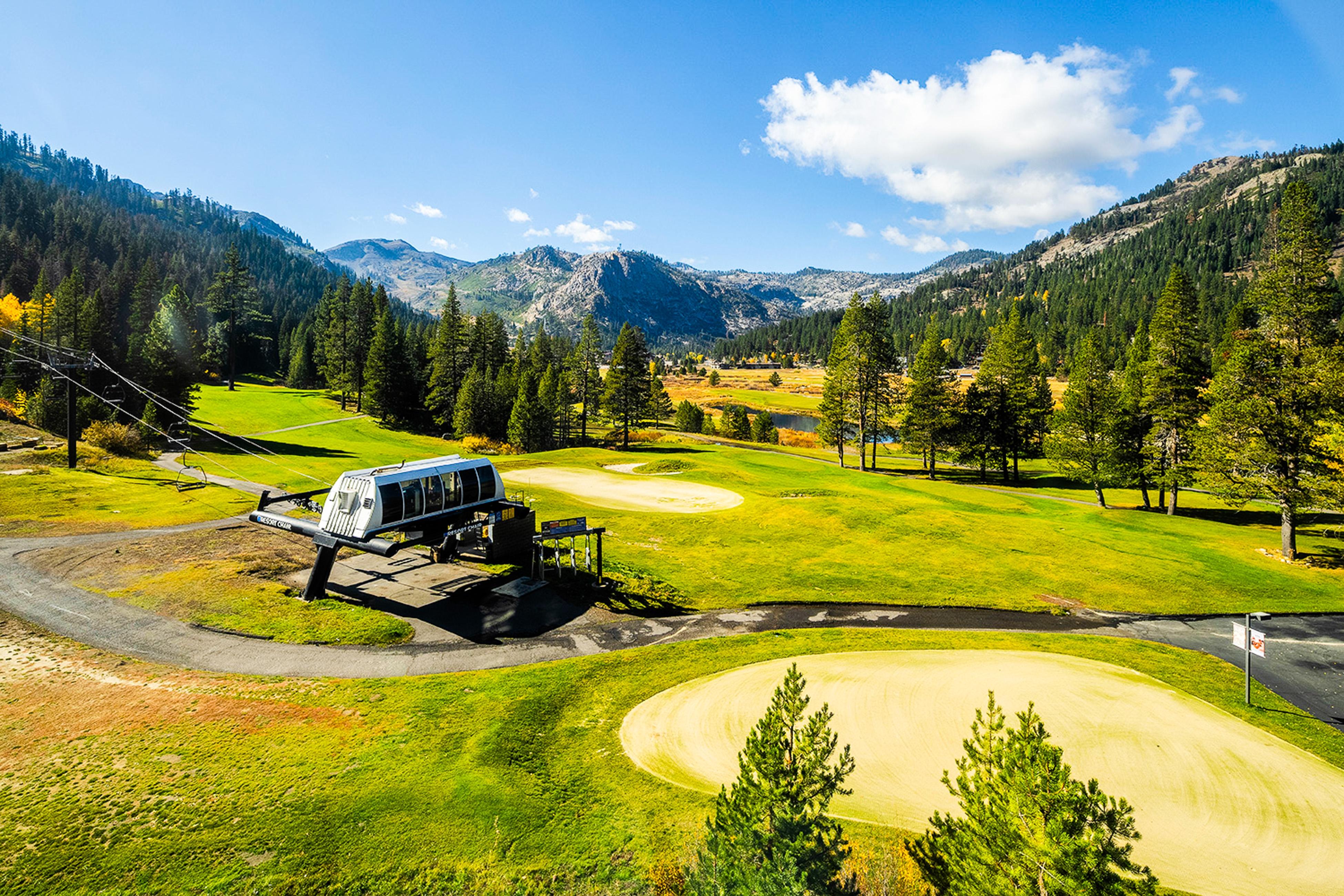 Everline #314 & #316 3