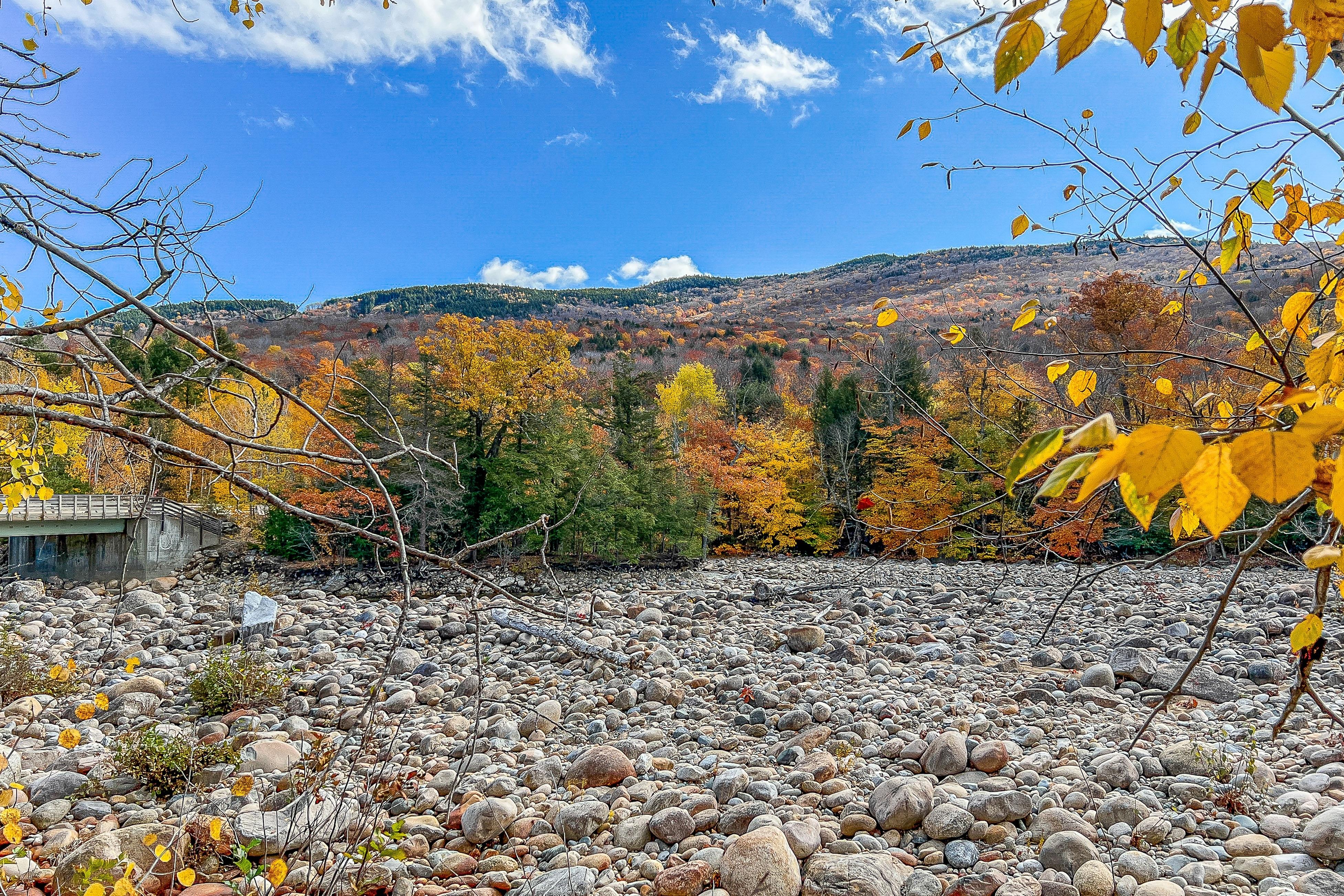 Autumn Colors Efficiency at Rivergreen 4