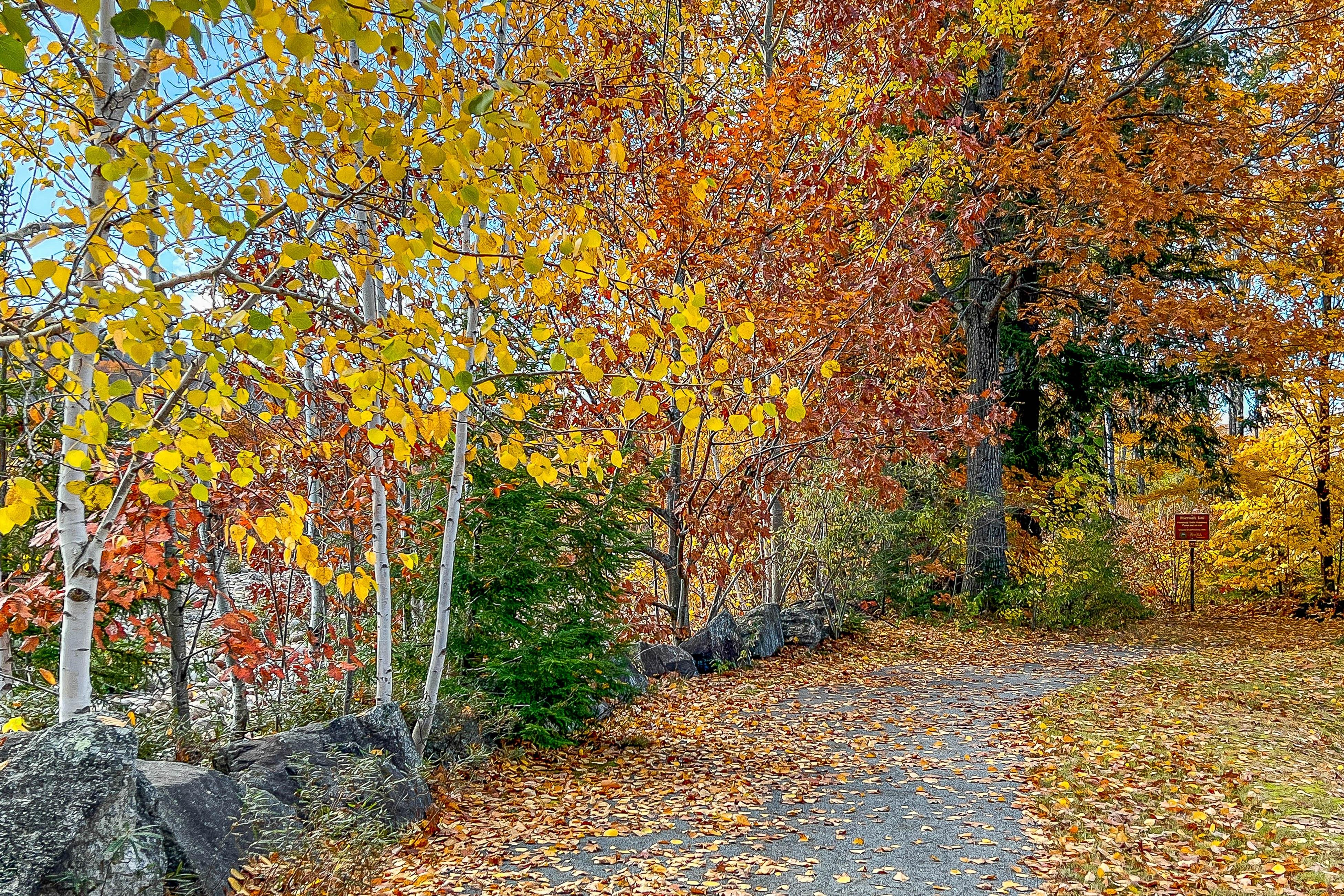 Autumn Colors Efficiency at Rivergreen 6