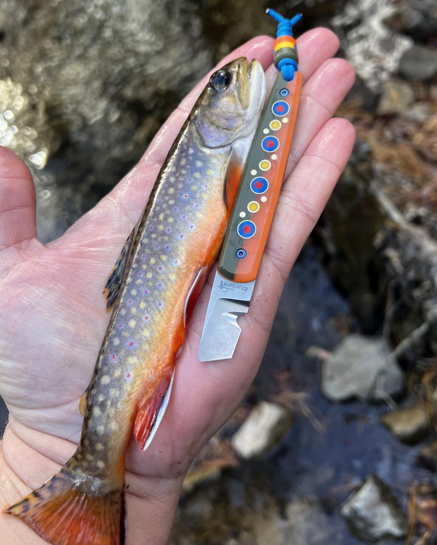 Sometimes I wish I could EDC a brook trout…