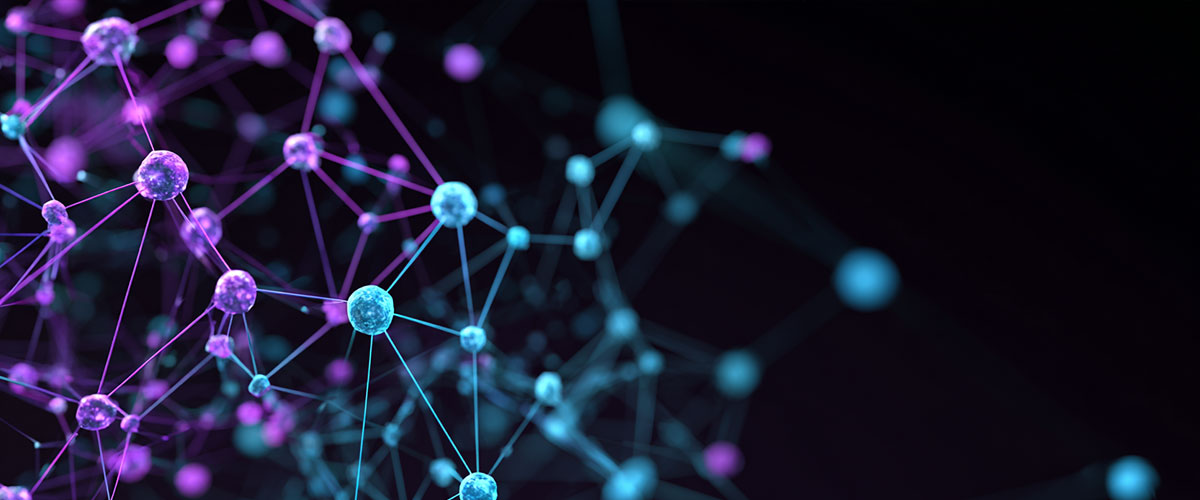 Expertise and Experience Brought Forward