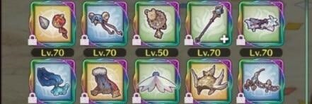 Equip 4 Star Equipment