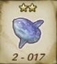 Winter Sky Sunfish