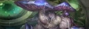 Venomush Walkthrough Info