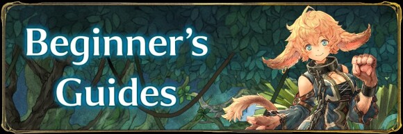 Beginner’s Guides